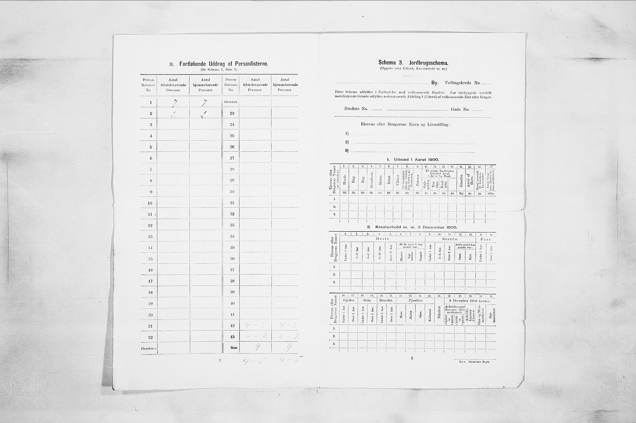 RA, 1900 census for Drammen, 1900, p. 2743