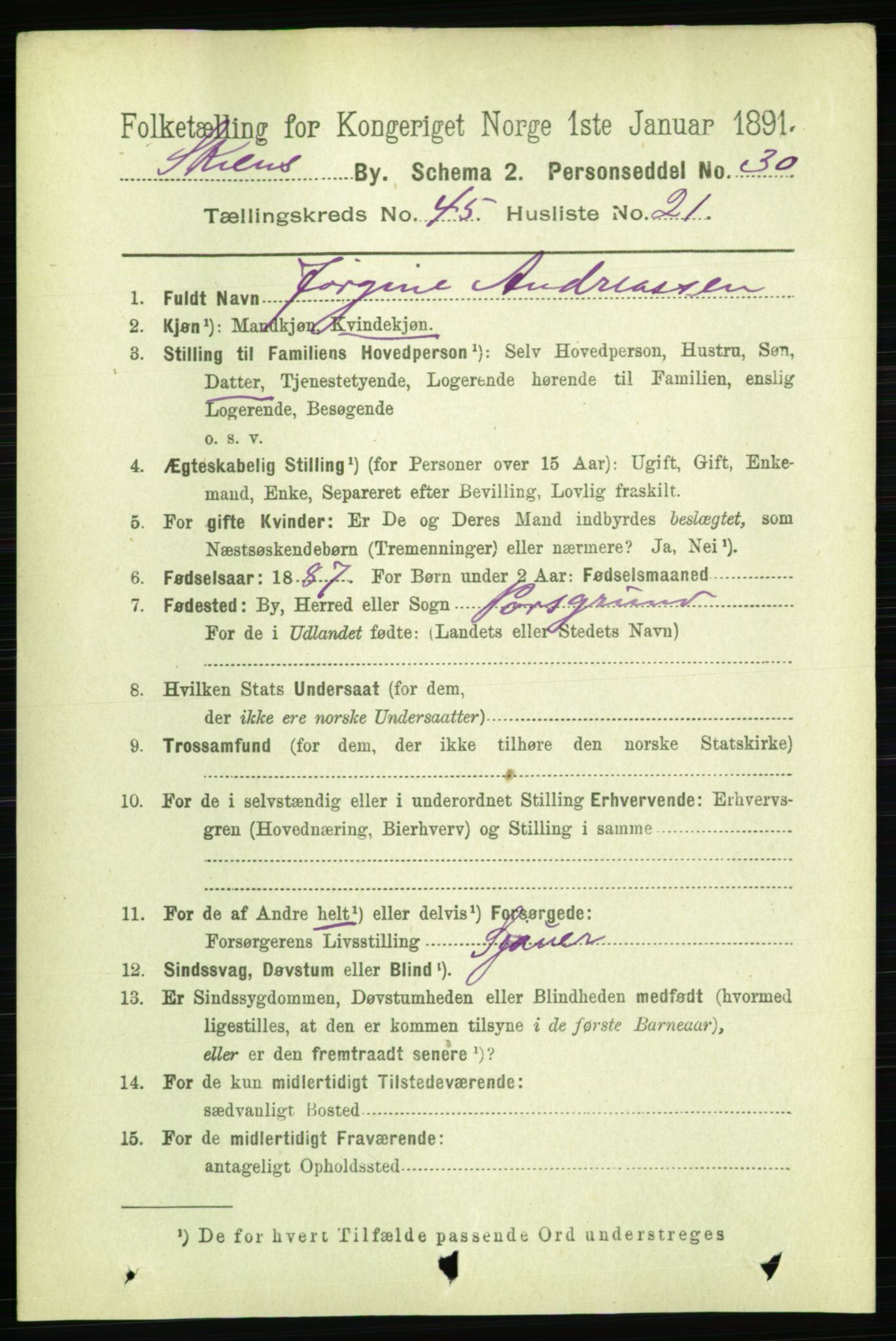 RA, 1891 census for 0806 Skien, 1891, p. 9133