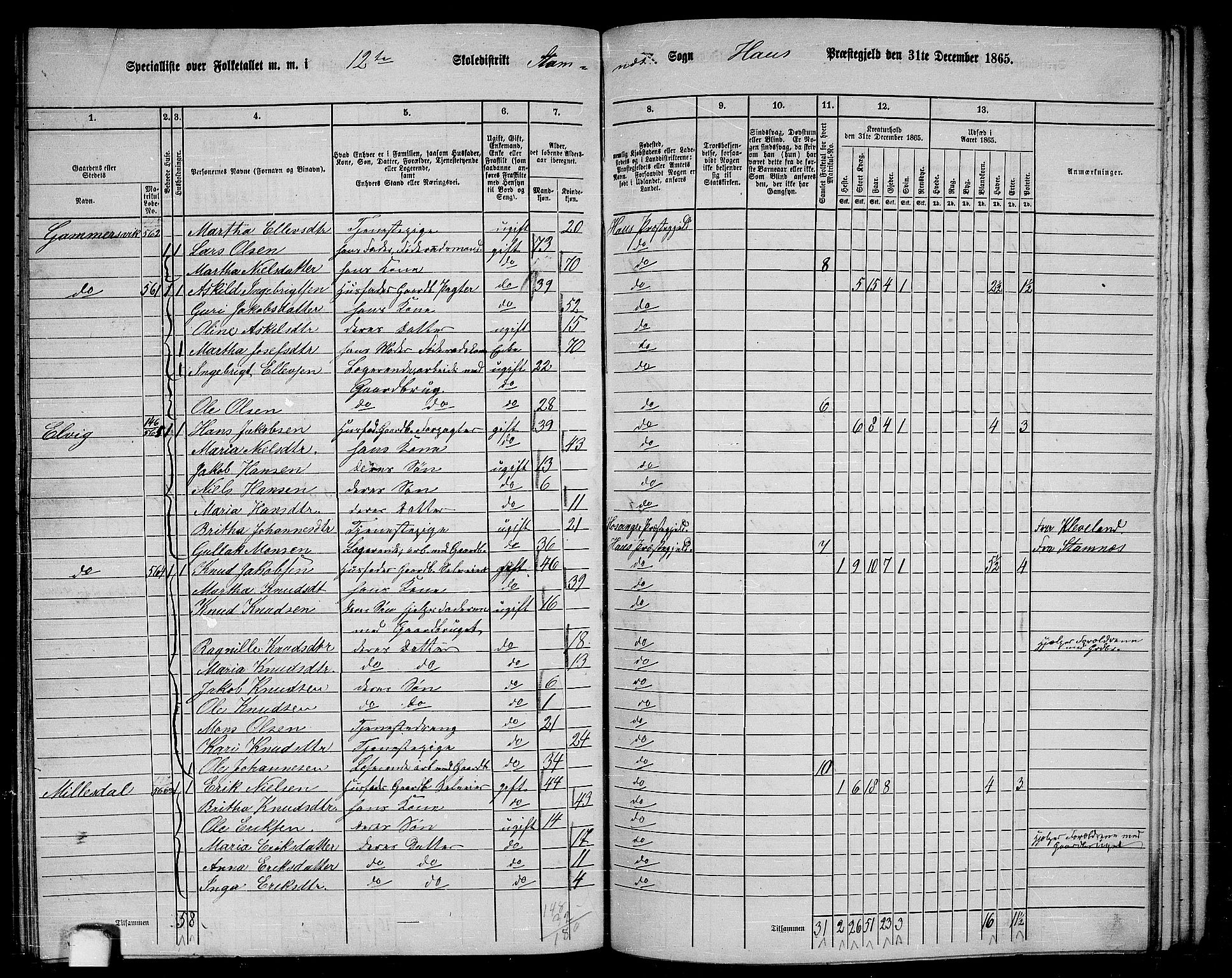 RA, 1865 census for Haus, 1865, p. 238