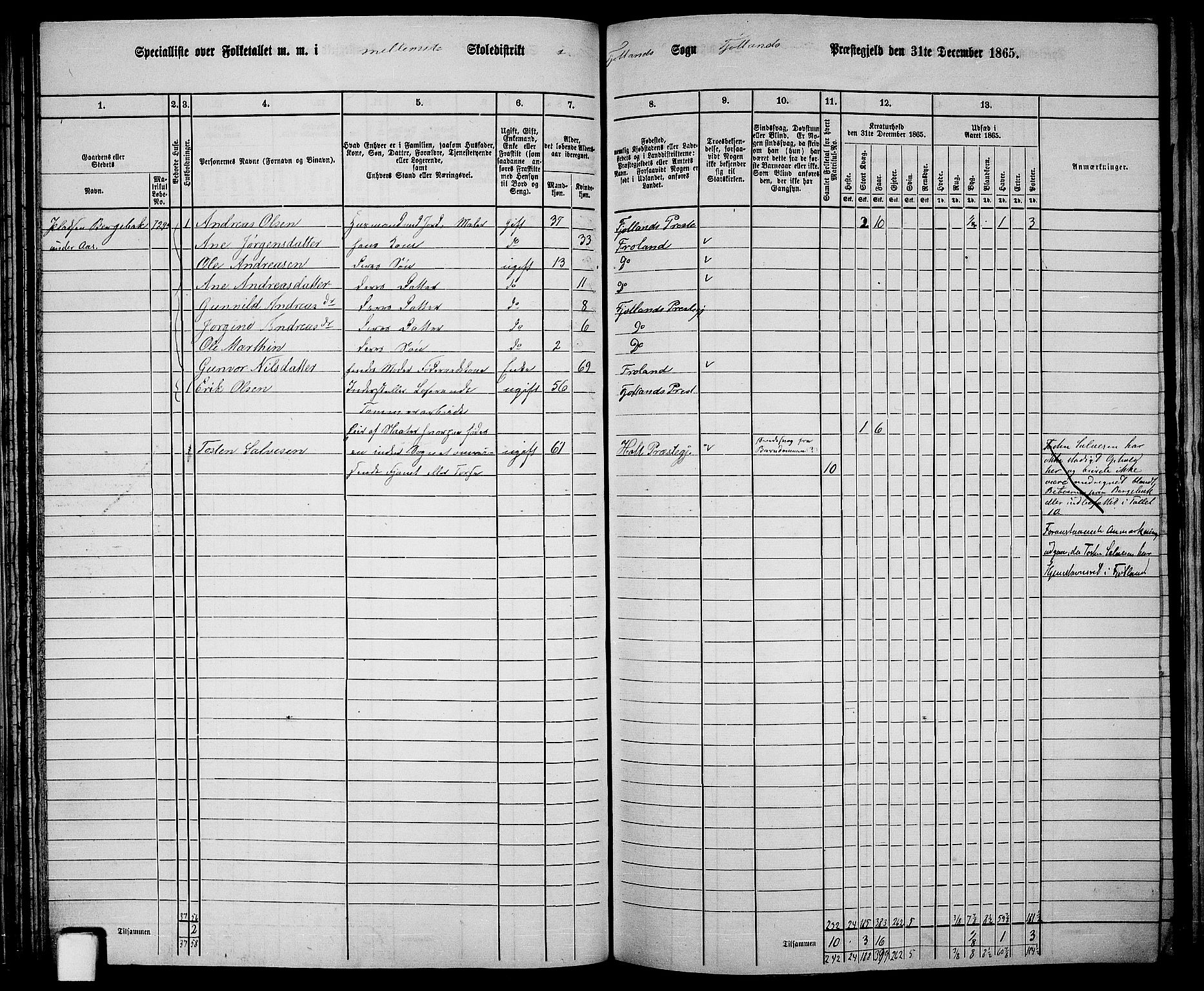 RA, 1865 census for Fjotland, 1865, p. 45