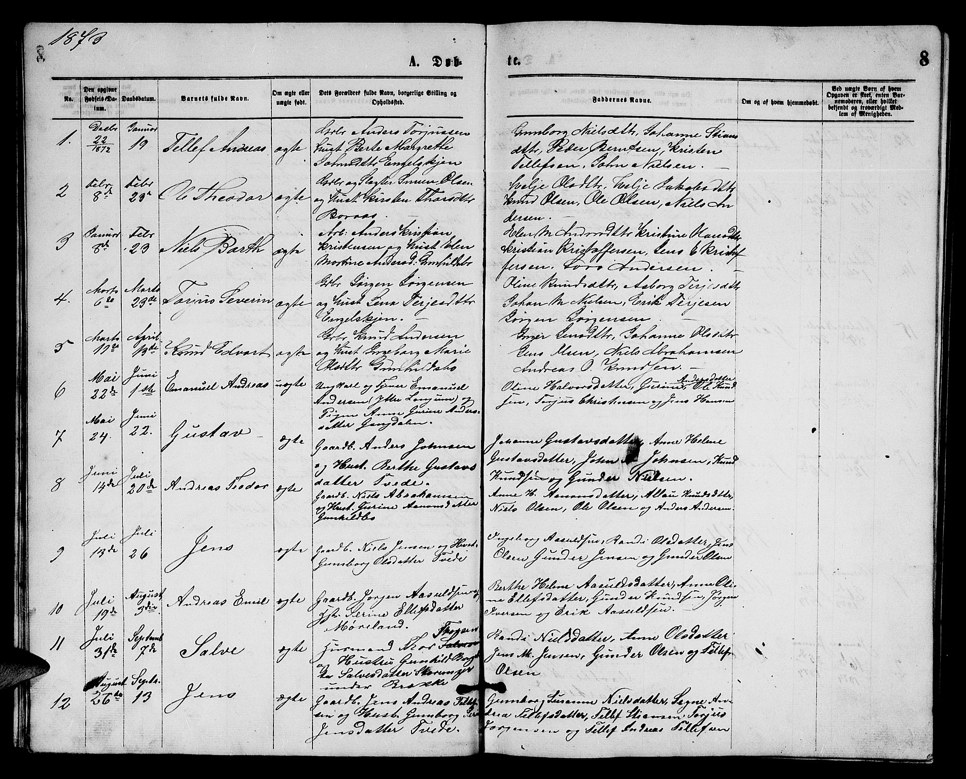 Austre Moland sokneprestkontor, SAK/1111-0001/F/Fb/Fba/L0002: Parish register (copy) no. B 2, 1869-1879, p. 8