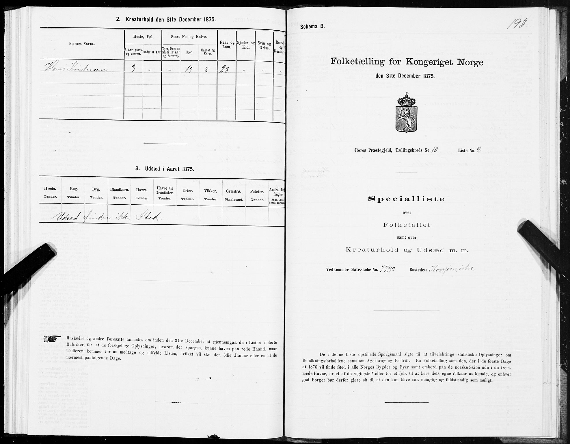 SAT, 1875 census for 1640P Røros, 1875, p. 5193