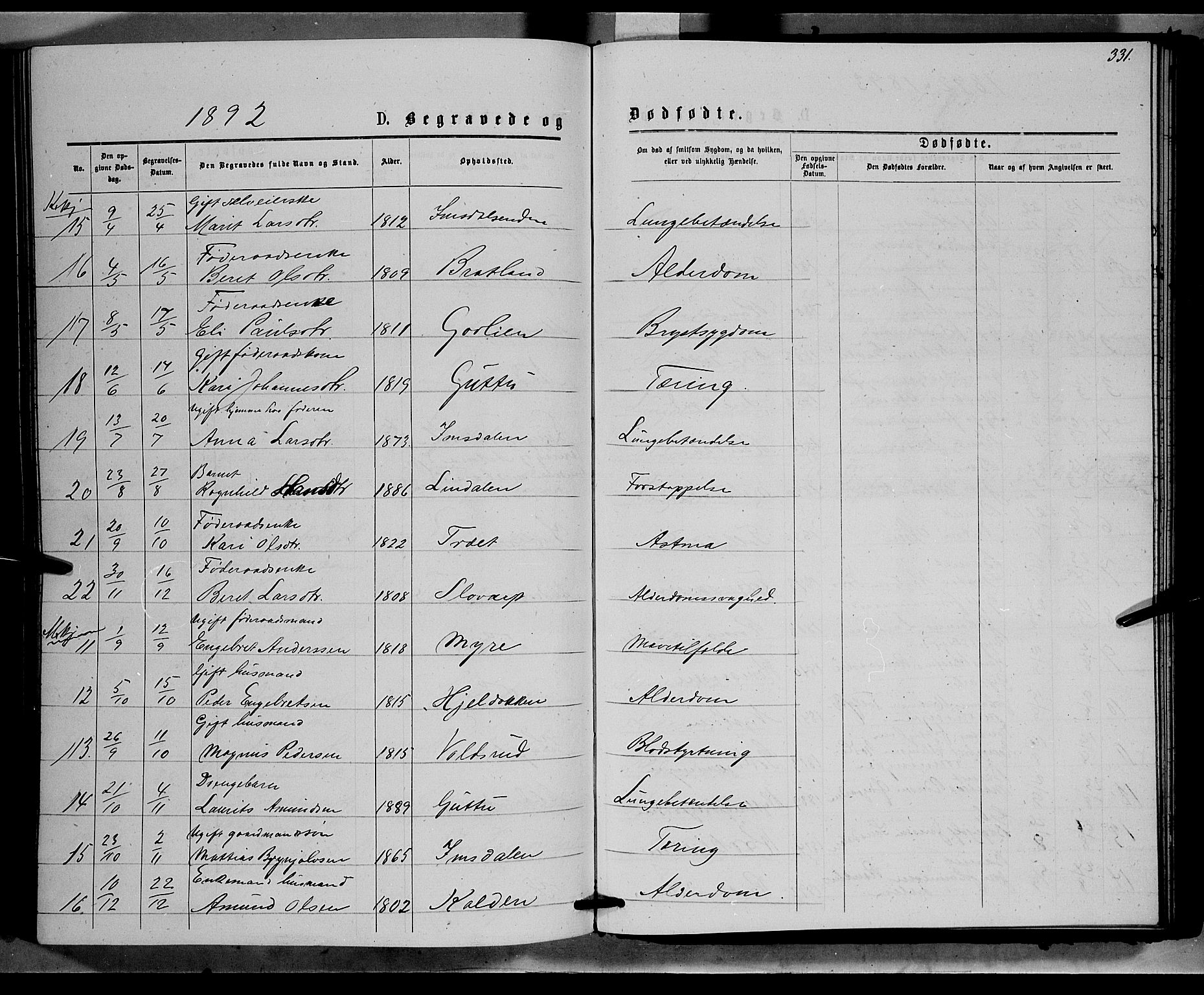 Ringebu prestekontor, SAH/PREST-082/H/Ha/Hab/L0006: Parish register (copy) no. 6, 1880-1898, p. 331