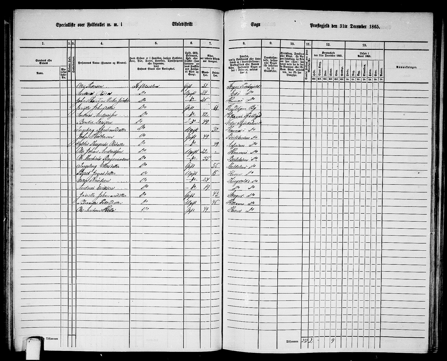 RA, 1865 census for Strinda, 1865, p. 100