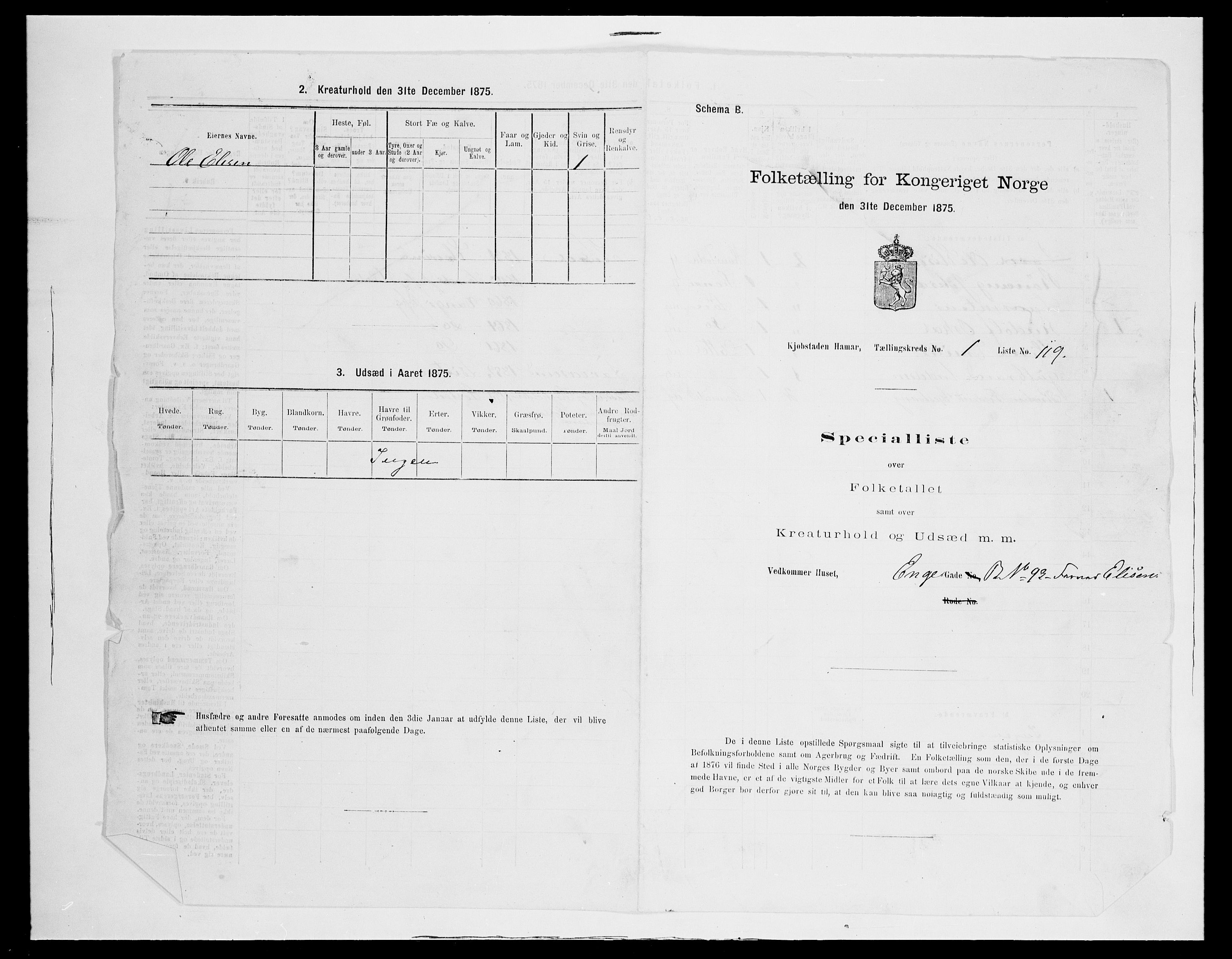 SAH, 1875 census for 0401B Vang/Hamar, 1875, p. 187