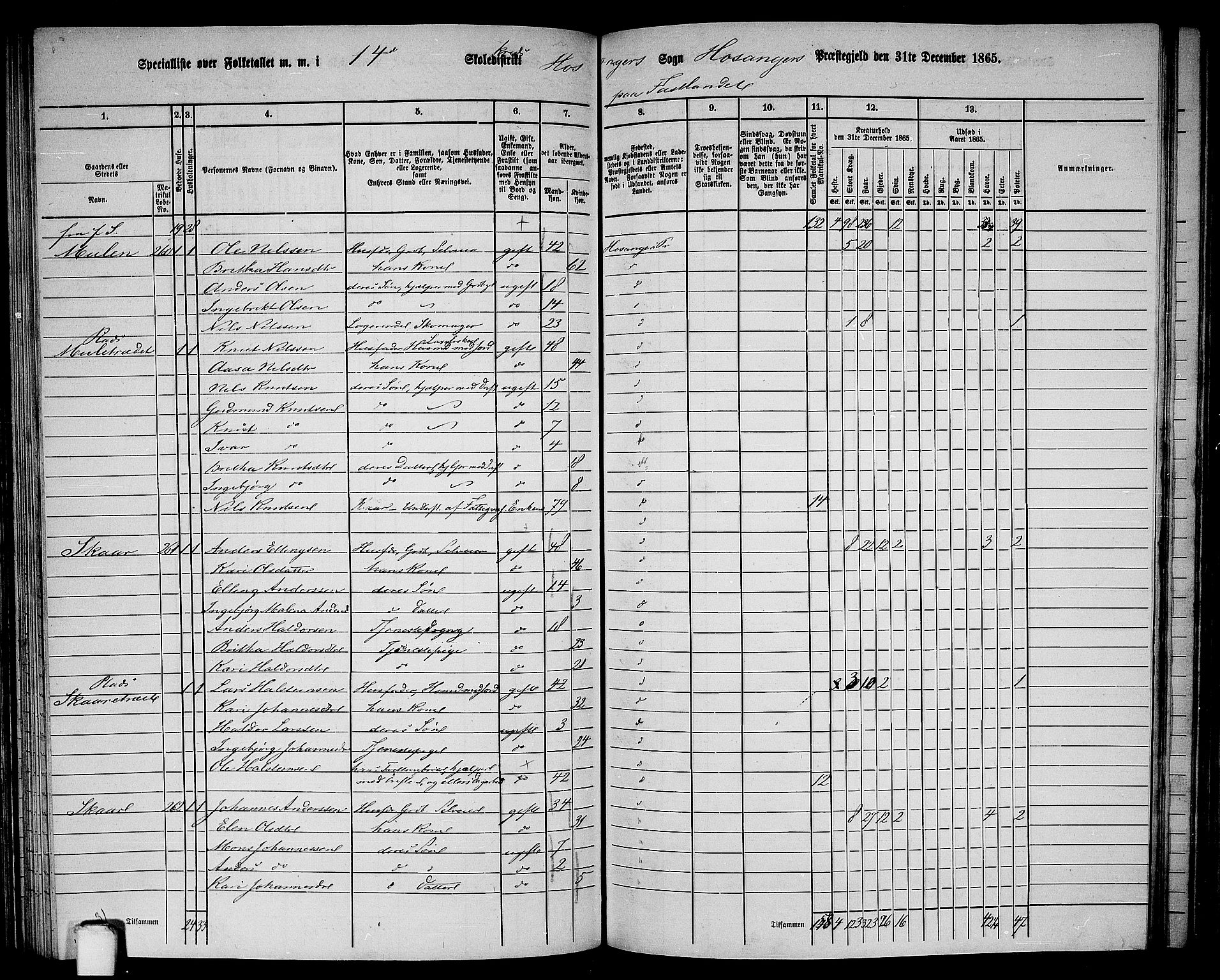 RA, 1865 census for Hosanger, 1865, p. 104