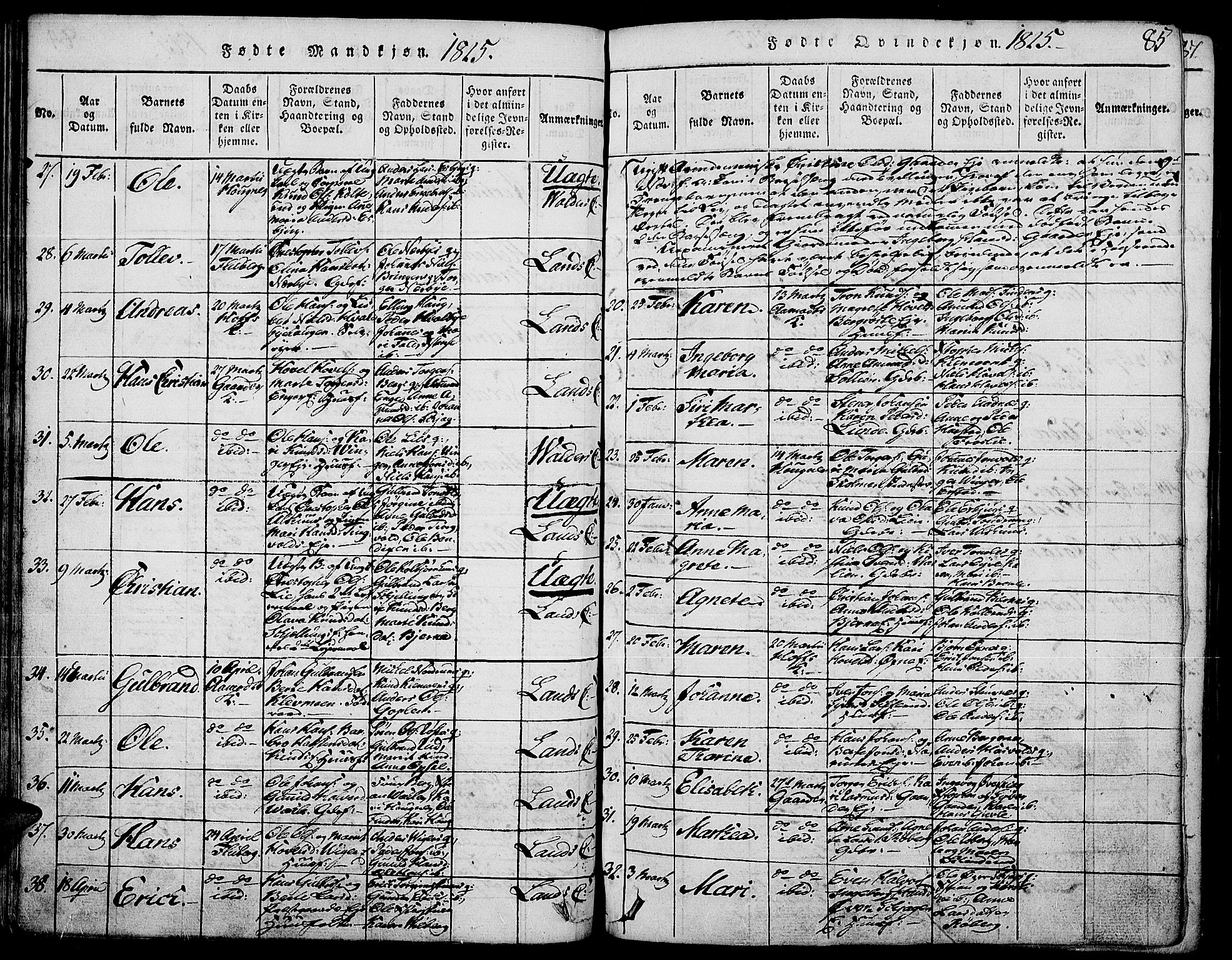 Land prestekontor, SAH/PREST-120/H/Ha/Haa/L0007: Parish register (official) no. 7, 1814-1830, p. 85