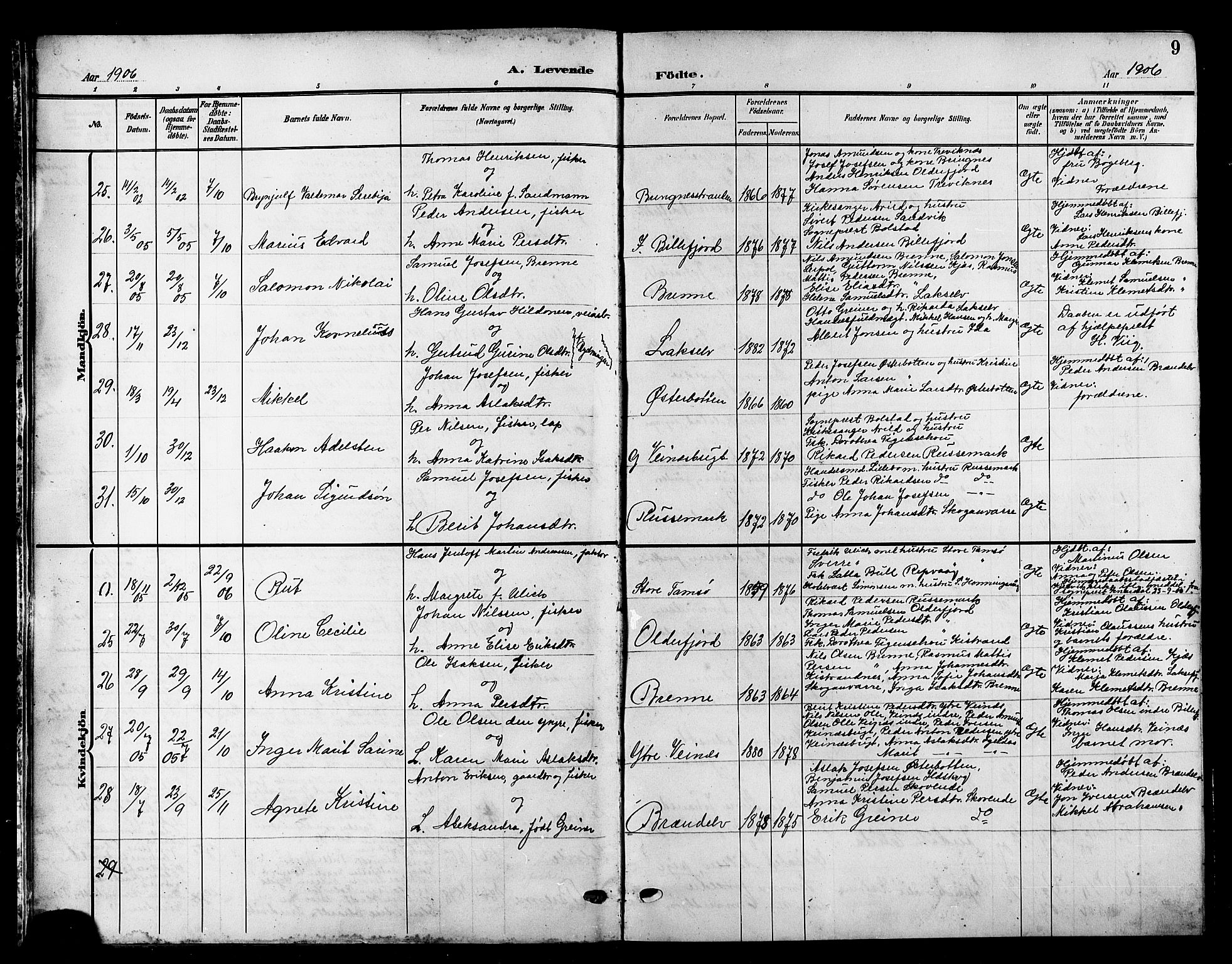 Kistrand/Porsanger sokneprestembete, AV/SATØ-S-1351/H/Hb/L0006.klokk: Parish register (copy) no. 6, 1905-1917, p. 9