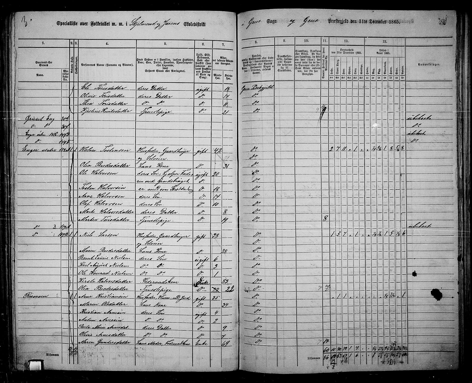 RA, 1865 census for Grue, 1865, p. 230