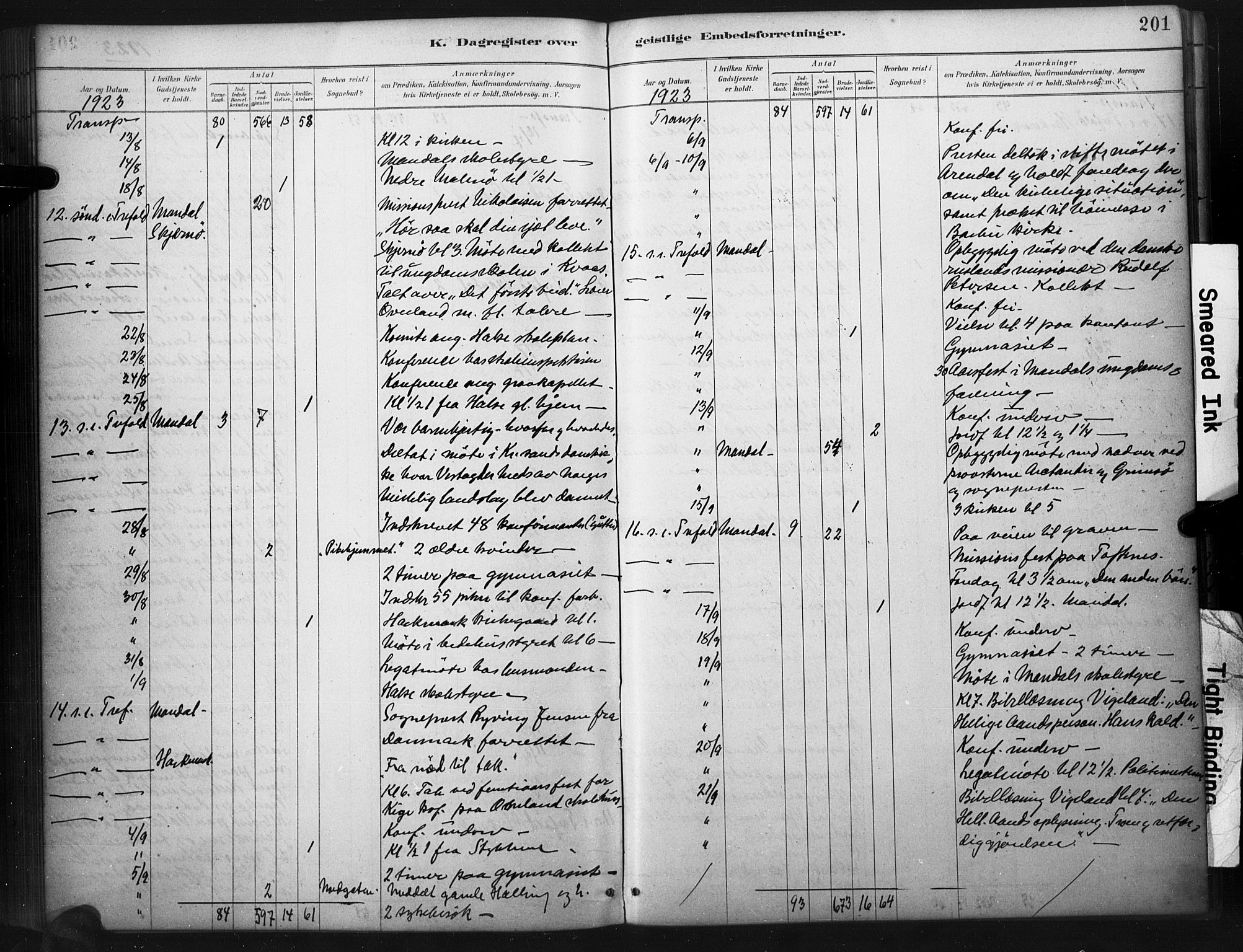 Mandal sokneprestkontor, AV/SAK-1111-0030/F/Fa/Faa/L0017: Parish register (official) no. A 17, 1880-1926, p. 201