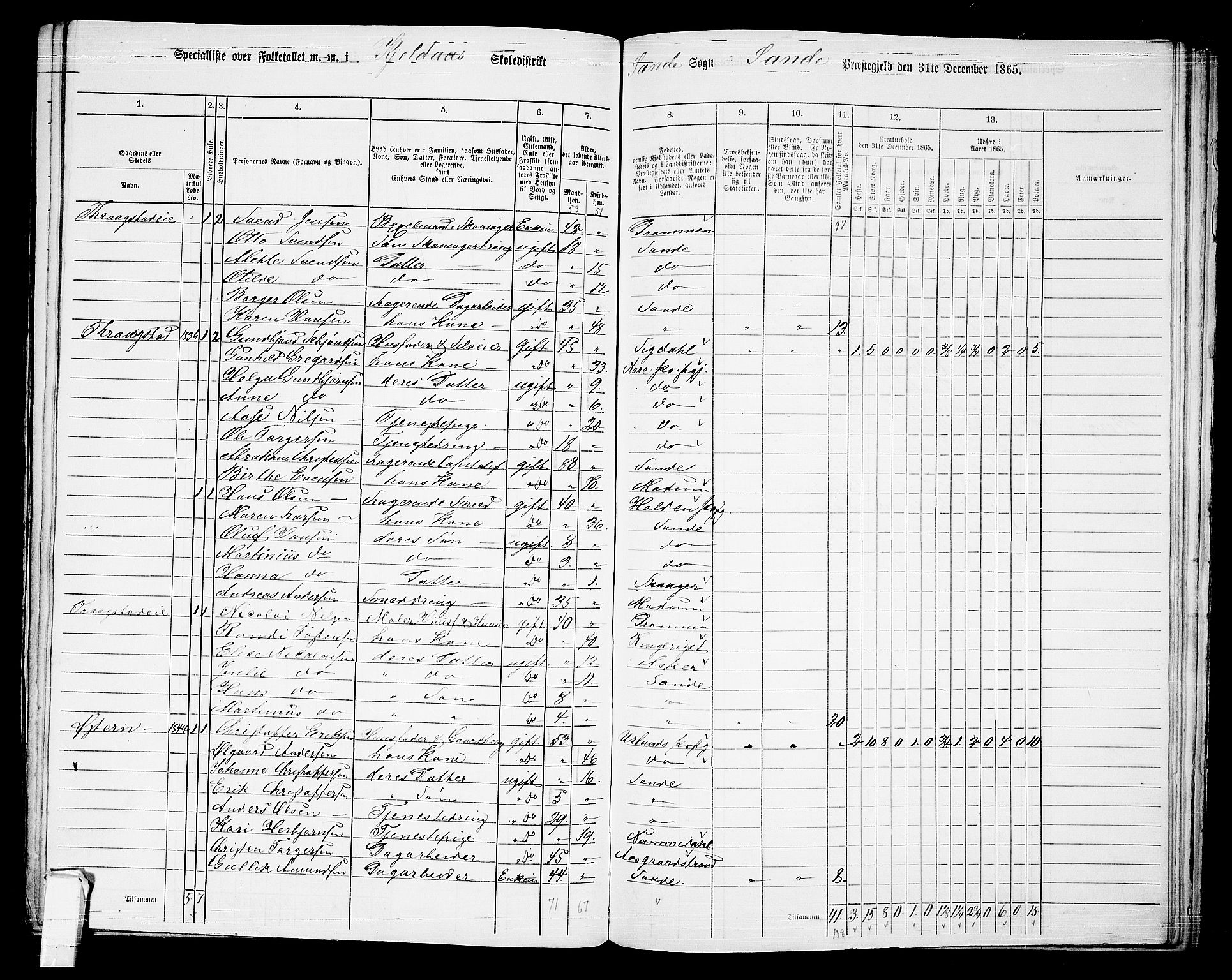 RA, 1865 census for Sande, 1865, p. 91