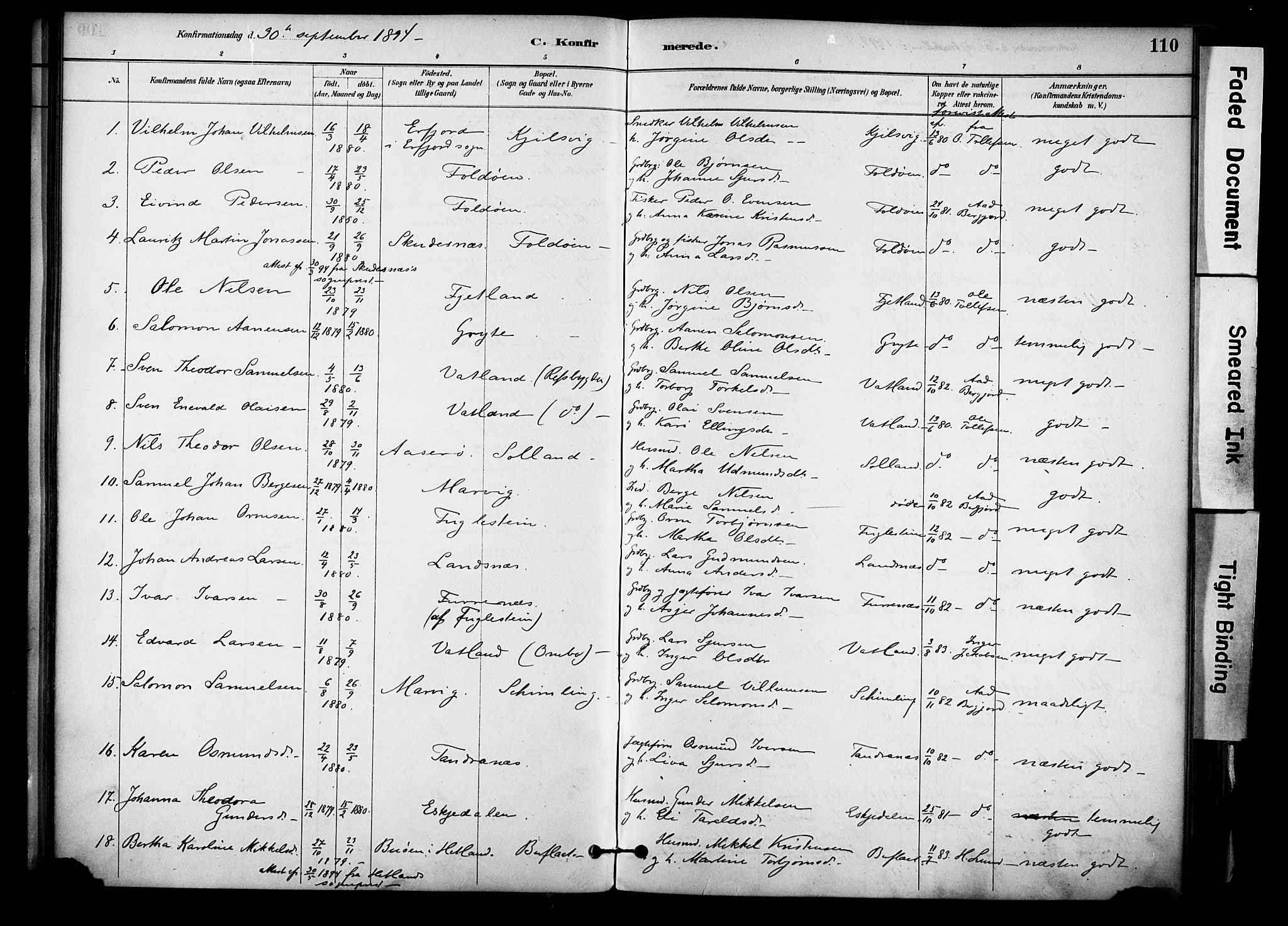 Jelsa sokneprestkontor, SAST/A-101842/01/IV: Parish register (official) no. A 10, 1884-1906, p. 110