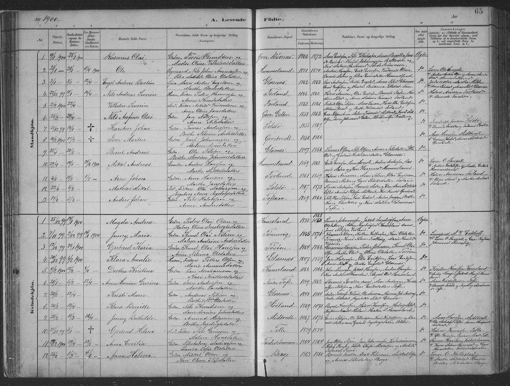 Sund sokneprestembete, SAB/A-99930: Parish register (copy) no. B 3, 1882-1911, p. 65