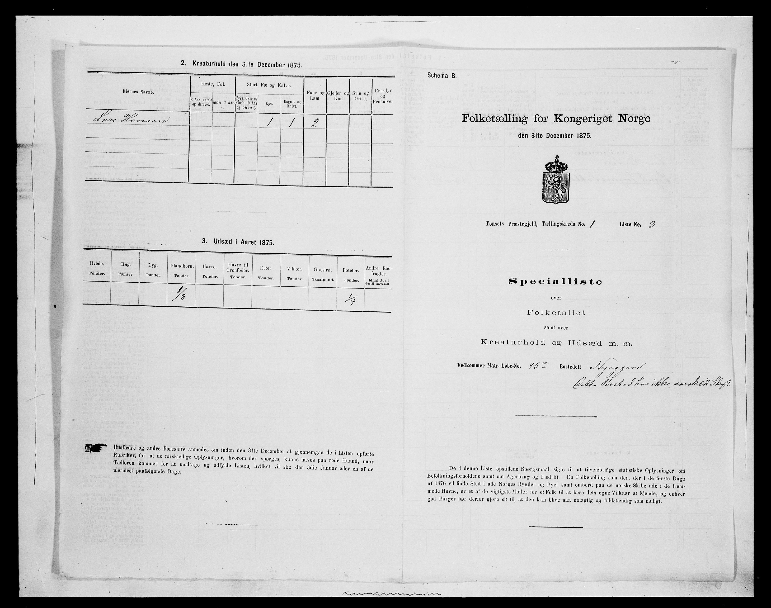 SAH, 1875 census for 0437P Tynset, 1875, p. 202