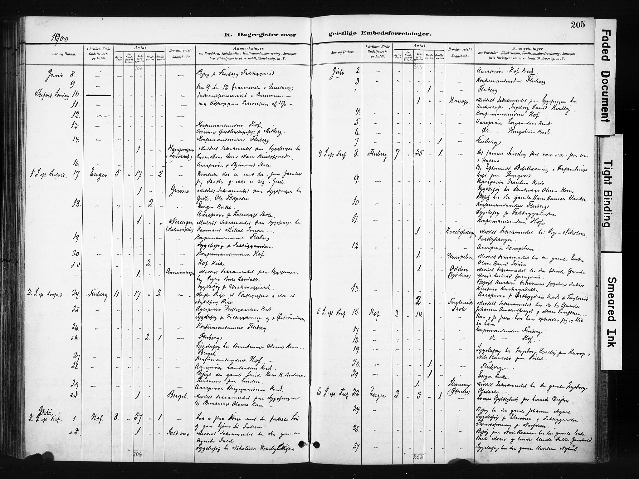 Søndre Land prestekontor, AV/SAH-PREST-122/K/L0004: Parish register (official) no. 4, 1895-1904, p. 205