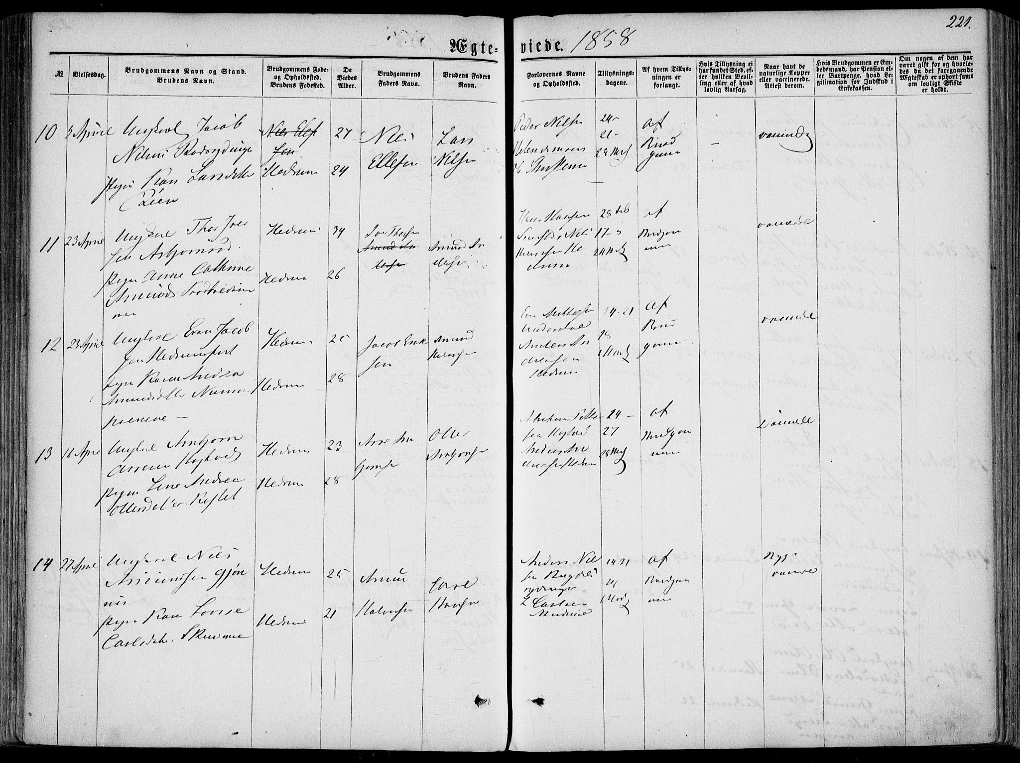 Hedrum kirkebøker, AV/SAKO-A-344/F/Fa/L0007: Parish register (official) no. I 7, 1857-1868, p. 221