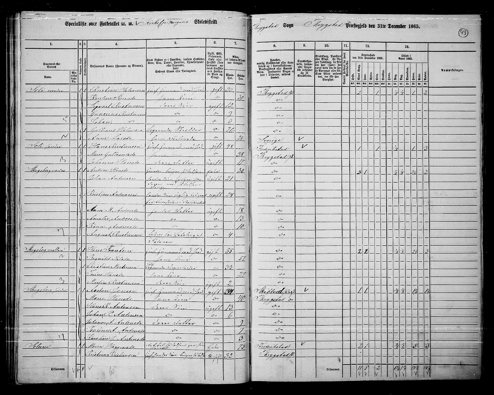 RA, 1865 census for Trøgstad, 1865, p. 42