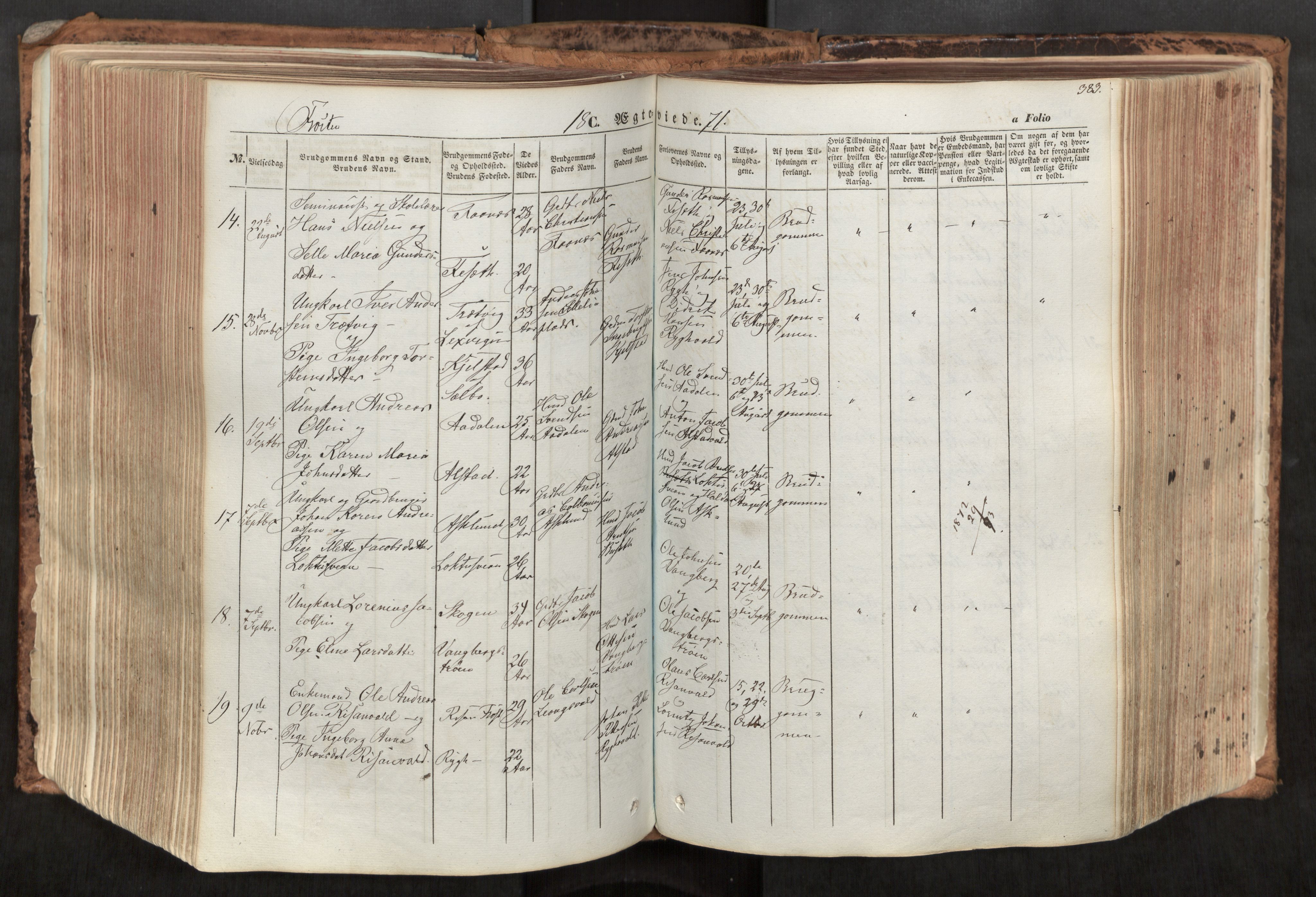Ministerialprotokoller, klokkerbøker og fødselsregistre - Nord-Trøndelag, SAT/A-1458/713/L0116: Parish register (official) no. 713A07, 1850-1877, p. 383