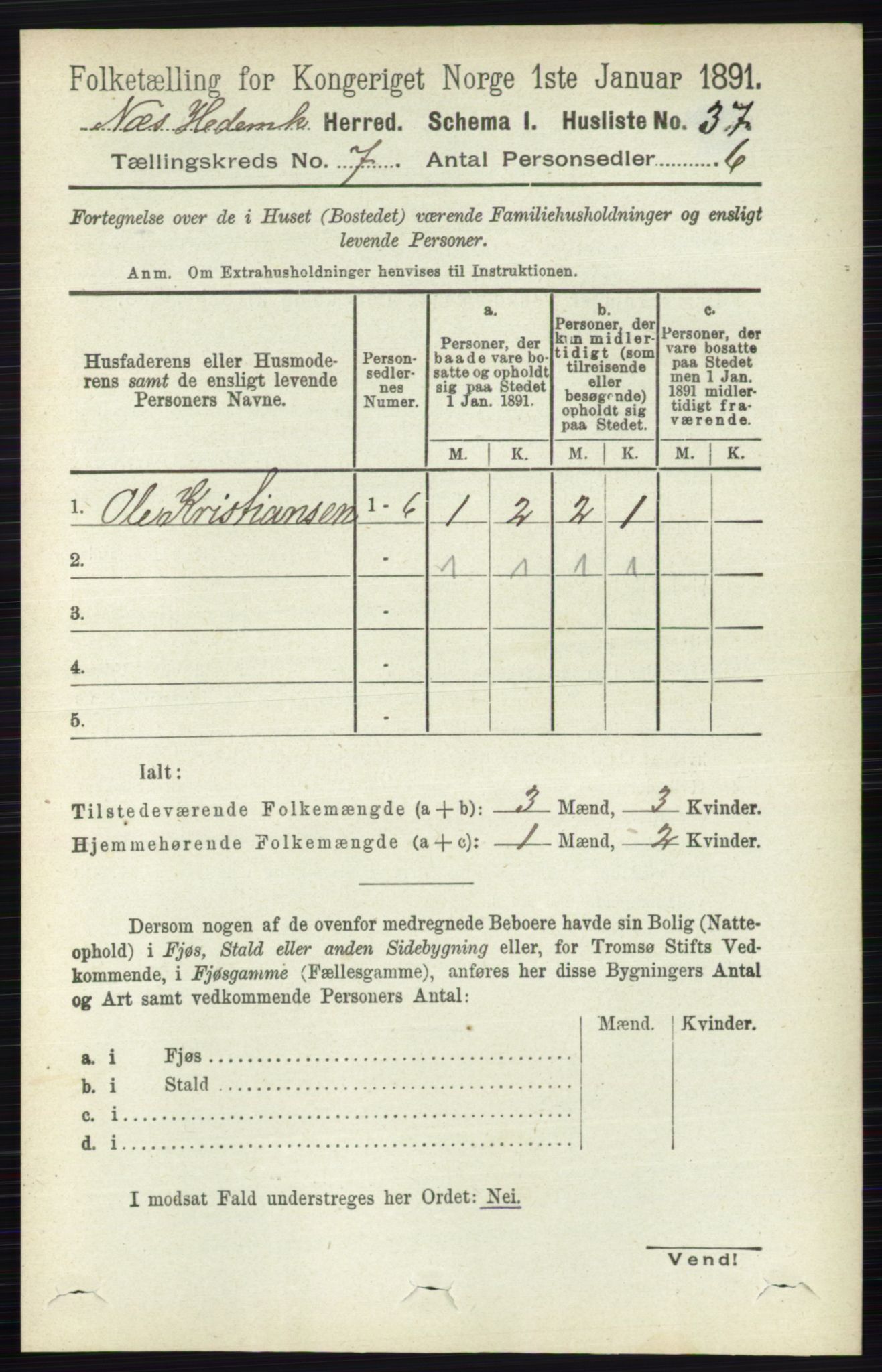 RA, 1891 census for 0411 Nes, 1891, p. 3865
