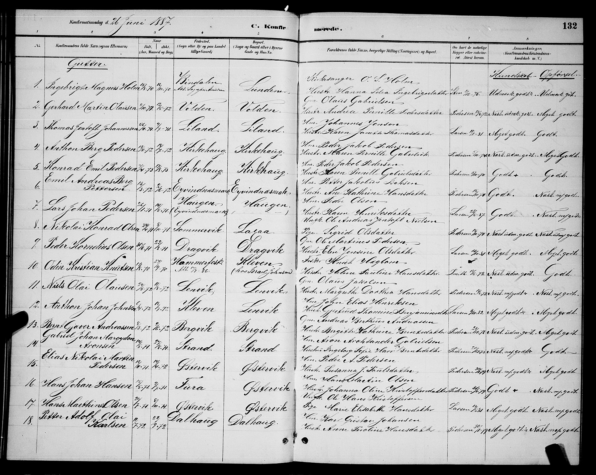 Ministerialprotokoller, klokkerbøker og fødselsregistre - Nordland, AV/SAT-A-1459/863/L0914: Parish register (copy) no. 863C04, 1886-1897, p. 132
