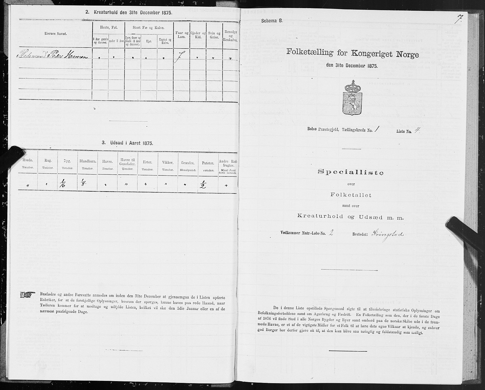 SAT, 1875 census for 1544P Bolsøy, 1875, p. 1007