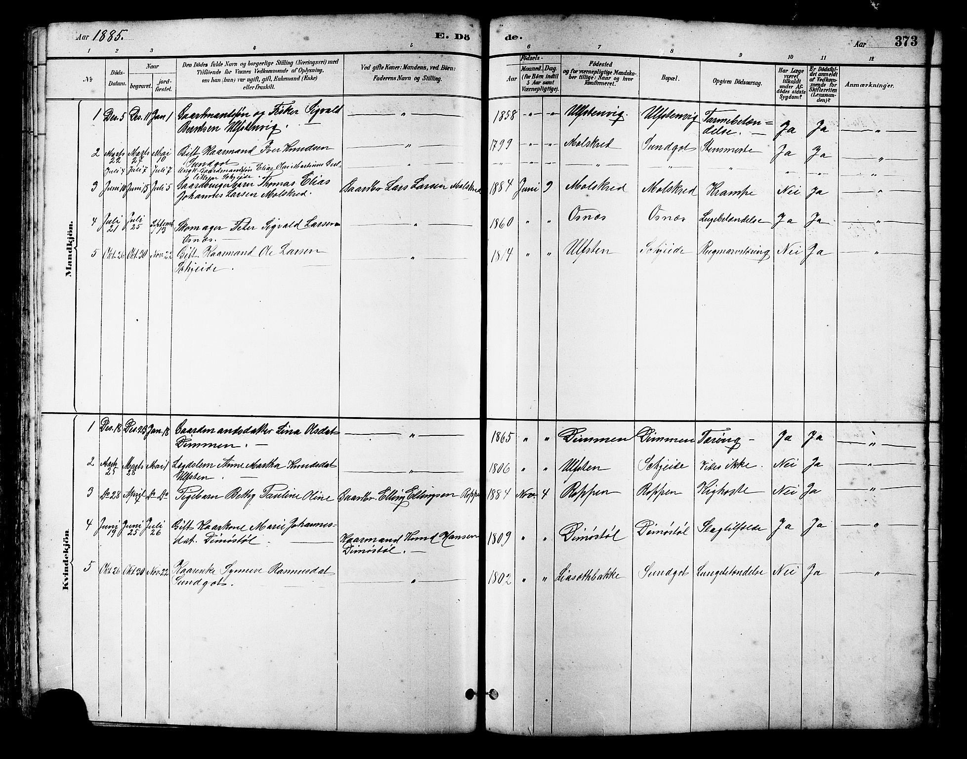 Ministerialprotokoller, klokkerbøker og fødselsregistre - Møre og Romsdal, AV/SAT-A-1454/509/L0112: Parish register (copy) no. 509C02, 1883-1922, p. 373