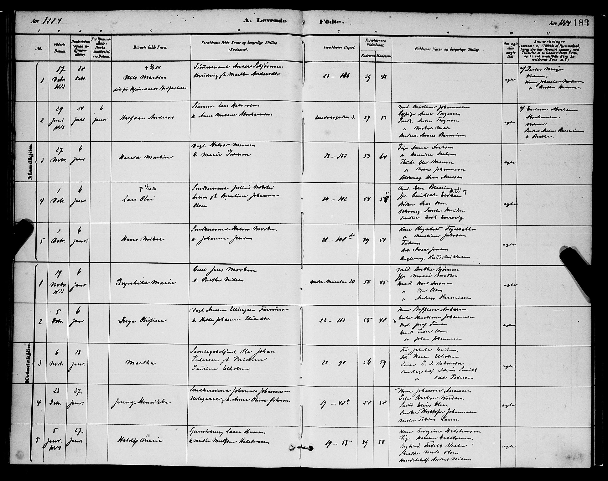 Korskirken sokneprestembete, SAB/A-76101/H/Hab: Parish register (copy) no. B 8, 1878-1887, p. 183