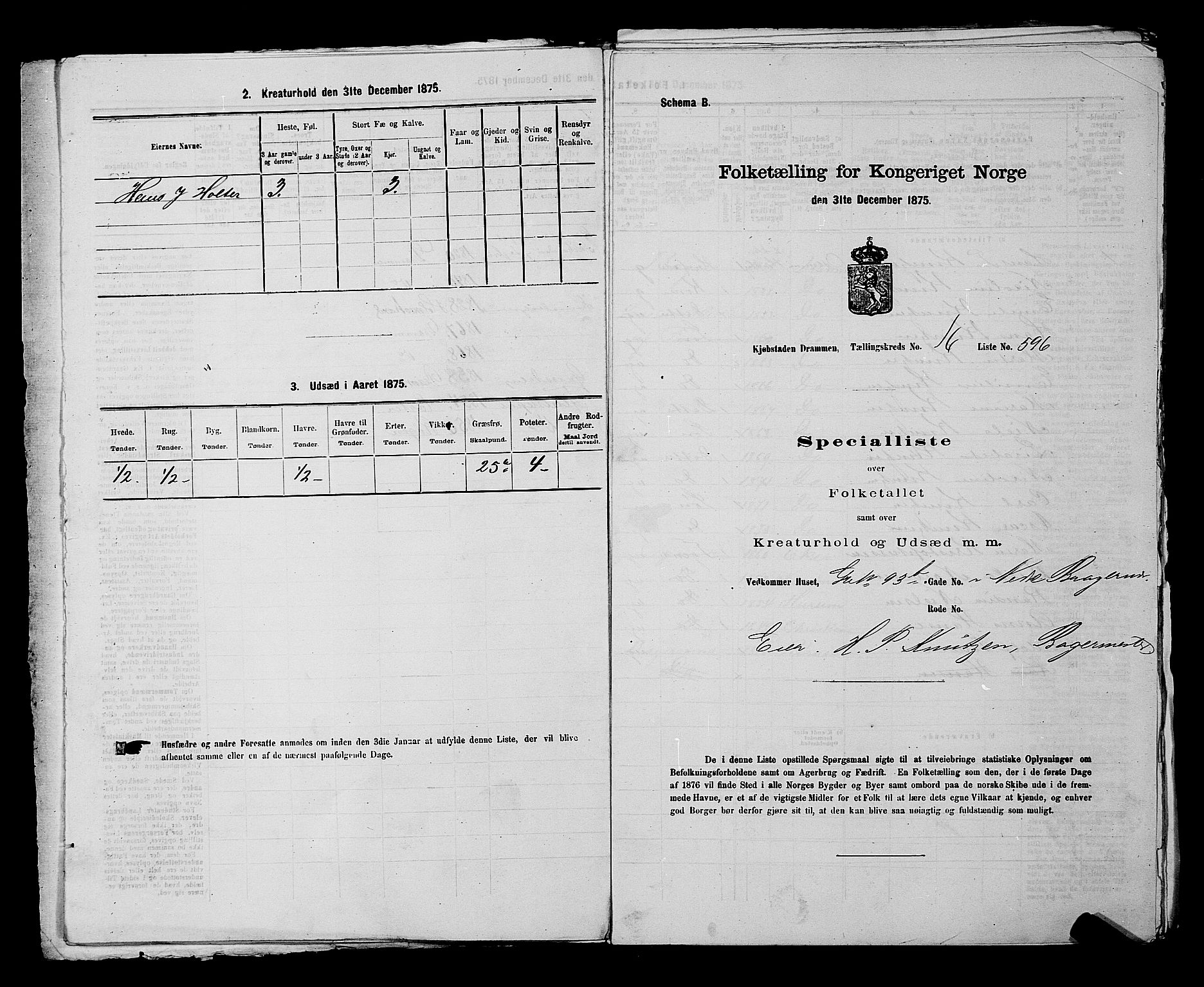 SAKO, 1875 census for 0602 Drammen, 1875, p. 1767