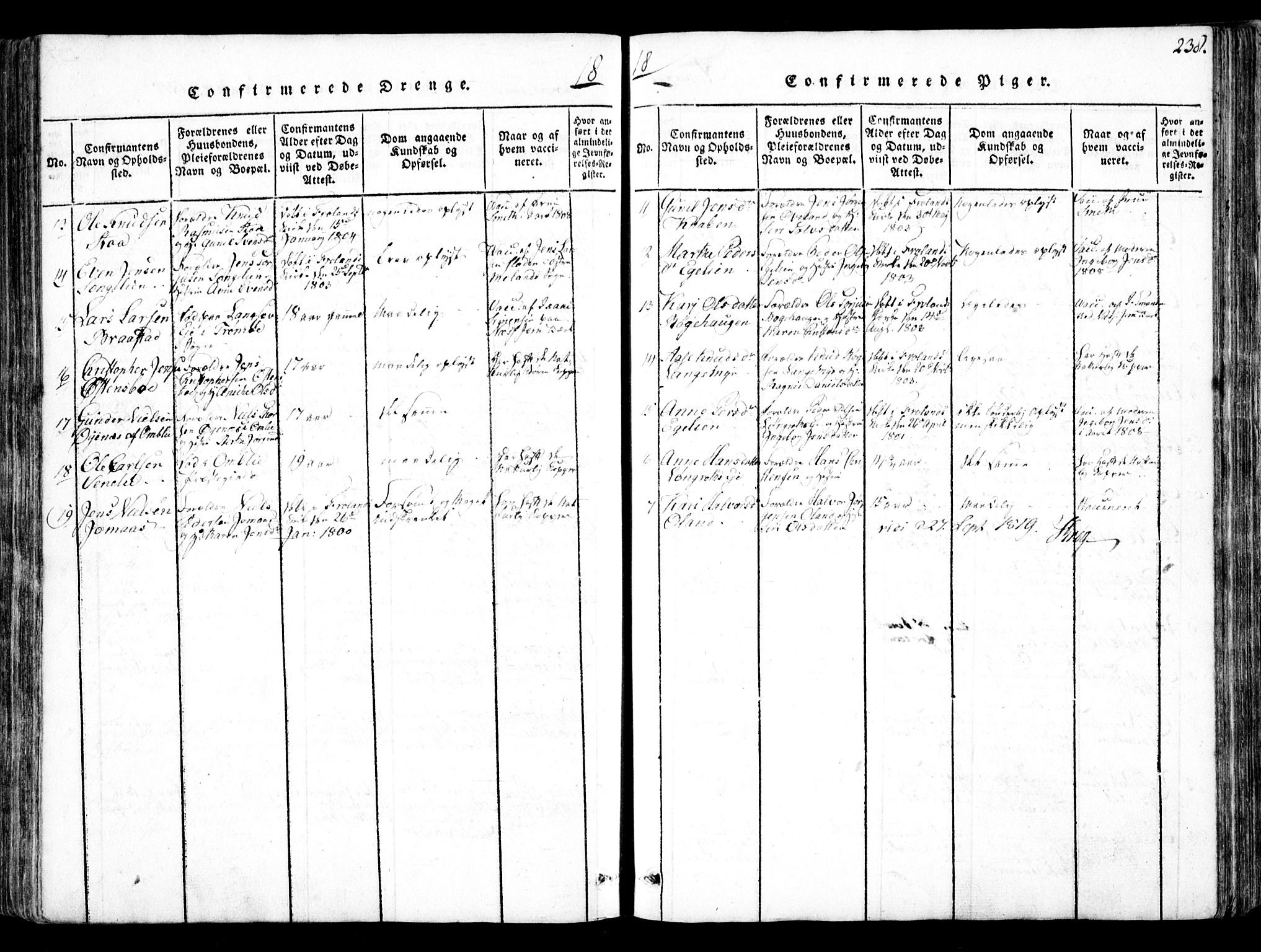 Fjære sokneprestkontor, AV/SAK-1111-0011/F/Fb/L0007: Parish register (copy) no. B 7, 1816-1826, p. 238