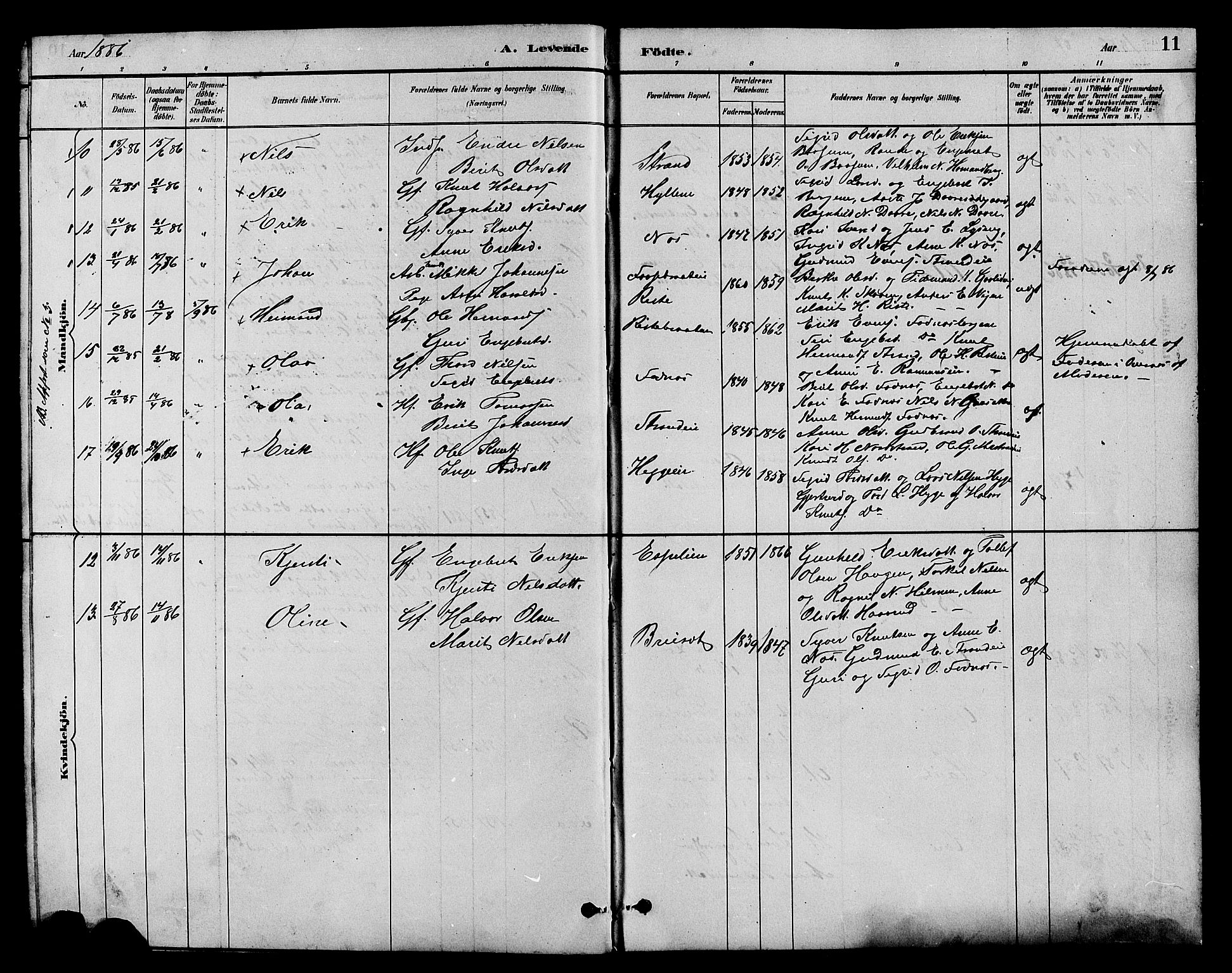 Nord-Aurdal prestekontor, AV/SAH-PREST-132/H/Ha/Hab/L0007: Parish register (copy) no. 7, 1883-1910, p. 11