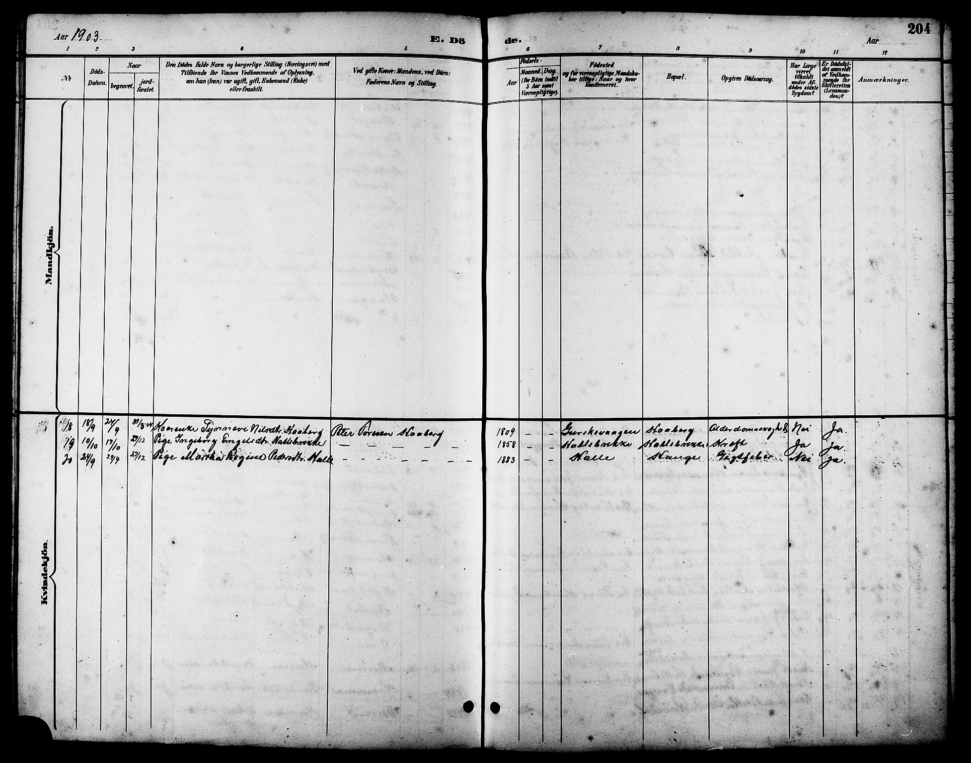 Ministerialprotokoller, klokkerbøker og fødselsregistre - Møre og Romsdal, AV/SAT-A-1454/503/L0049: Parish register (copy) no. 503C04, 1894-1915, p. 204