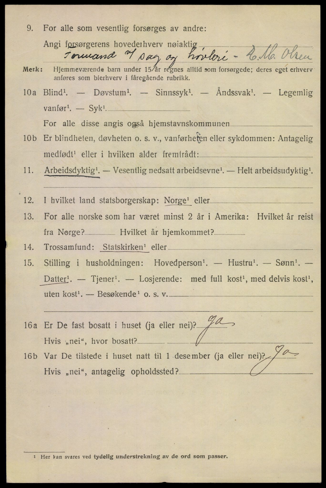 SAKO, 1920 census for Skien, 1920, p. 16849