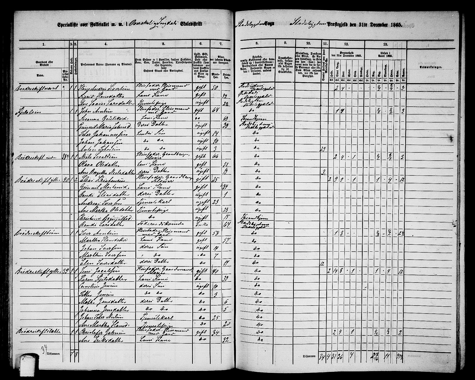 RA, 1865 census for Stadsbygd, 1865, p. 65