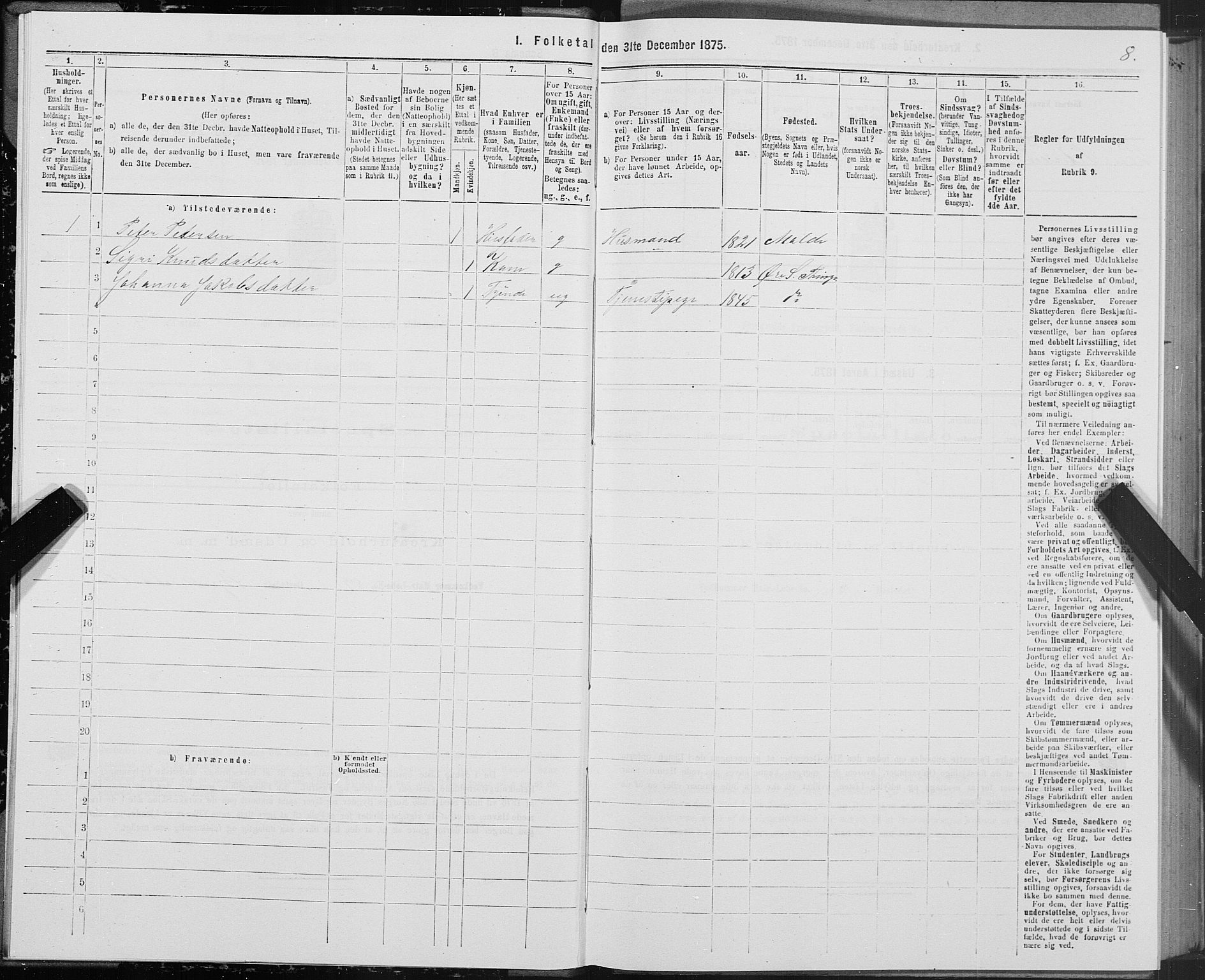 SAT, 1875 census for 1560P Tingvoll, 1875, p. 7008