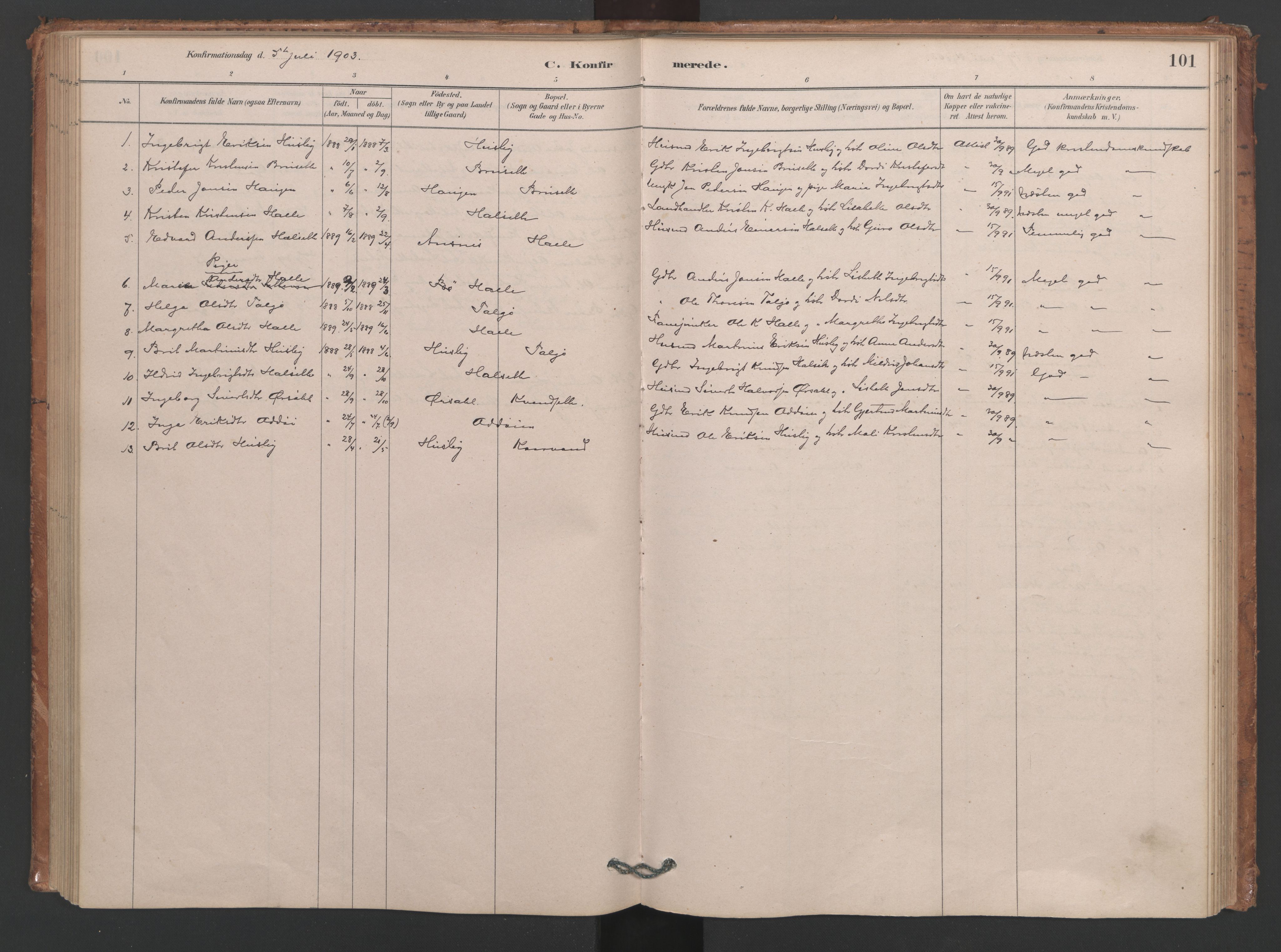 Ministerialprotokoller, klokkerbøker og fødselsregistre - Møre og Romsdal, SAT/A-1454/593/L1034: Parish register (official) no. 593A01, 1879-1911, p. 101