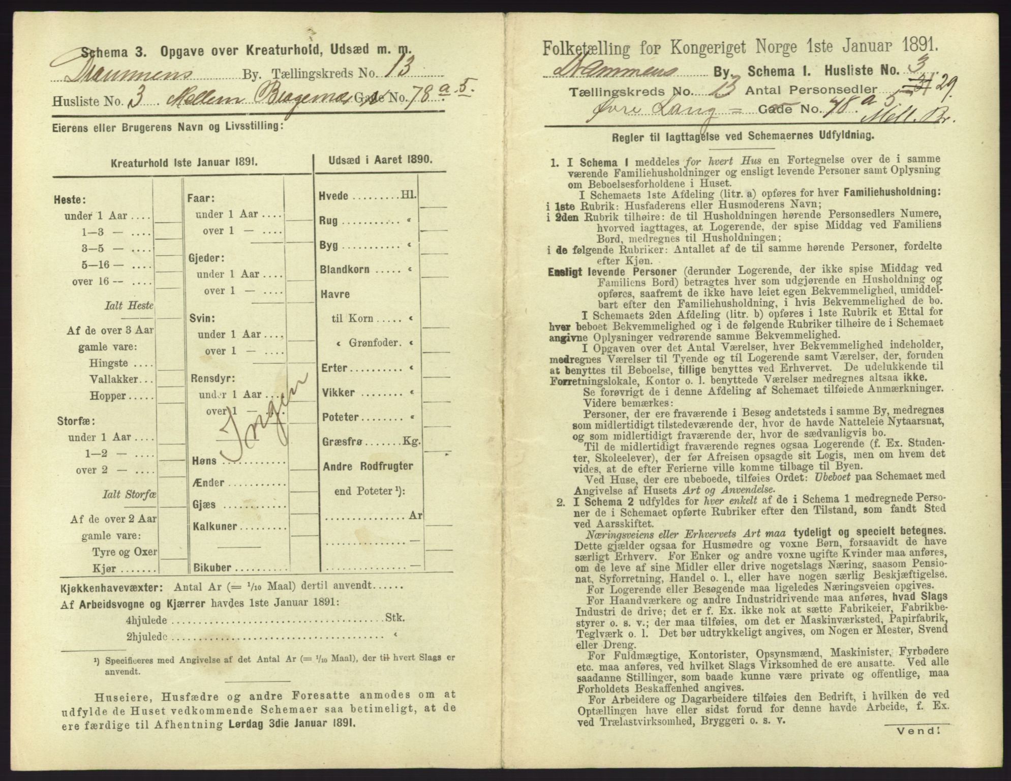 RA, 1891 census for 0602 Drammen, 1891, p. 1077