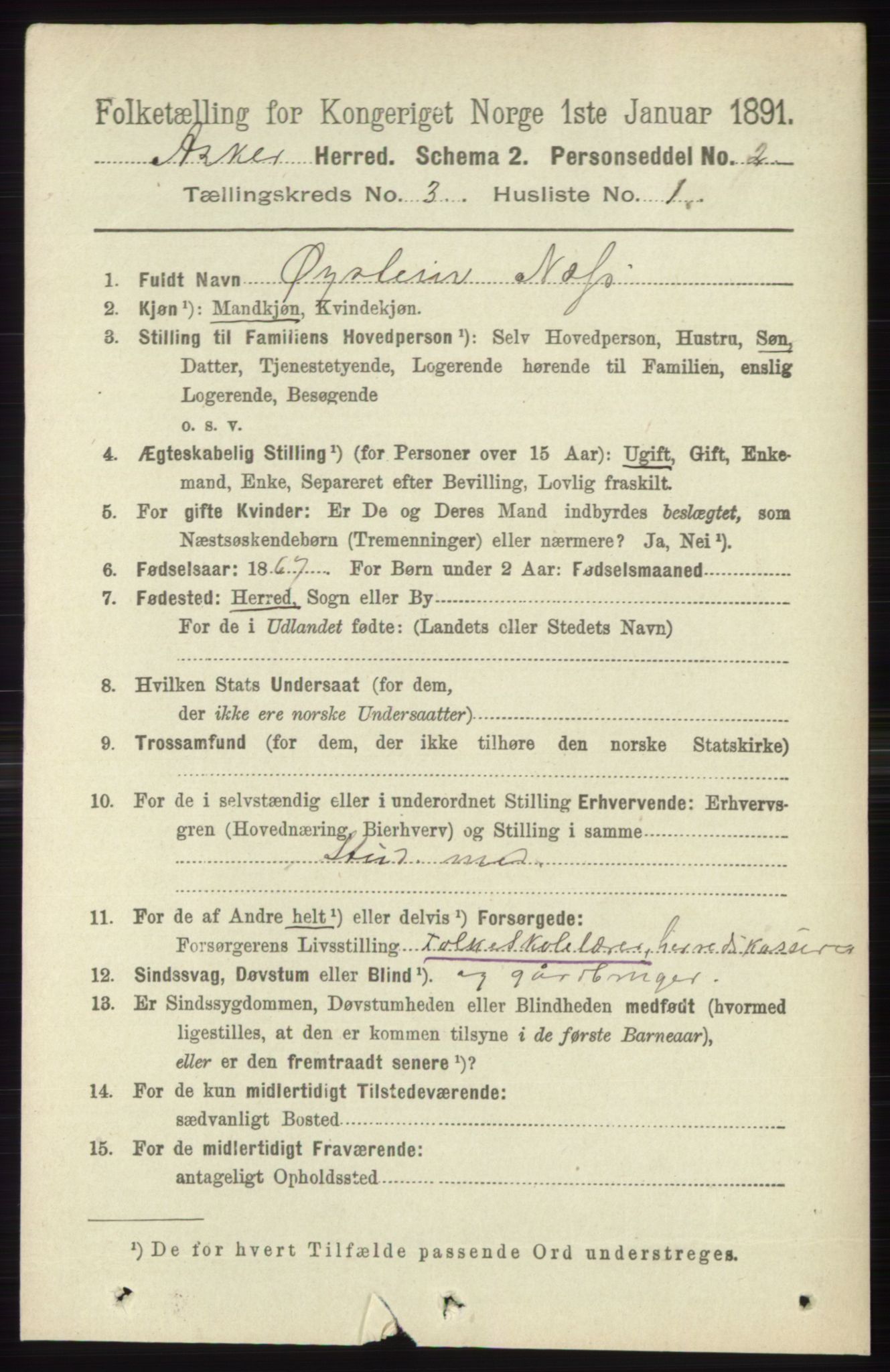 RA, 1891 census for 0220 Asker, 1891, p. 1982