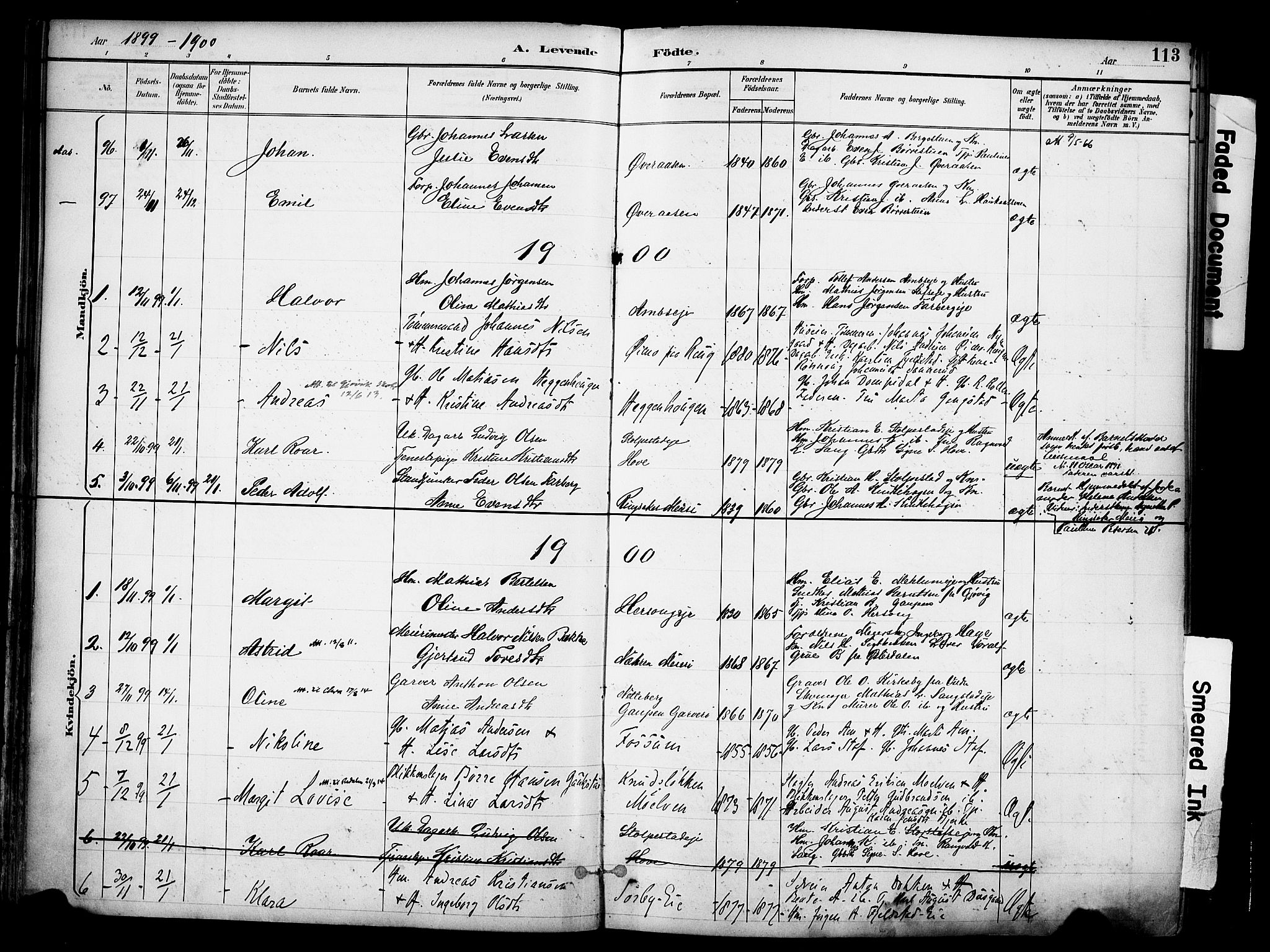 Ringsaker prestekontor, AV/SAH-PREST-014/K/Ka/L0017: Parish register (official) no. 17, 1891-1902, p. 113