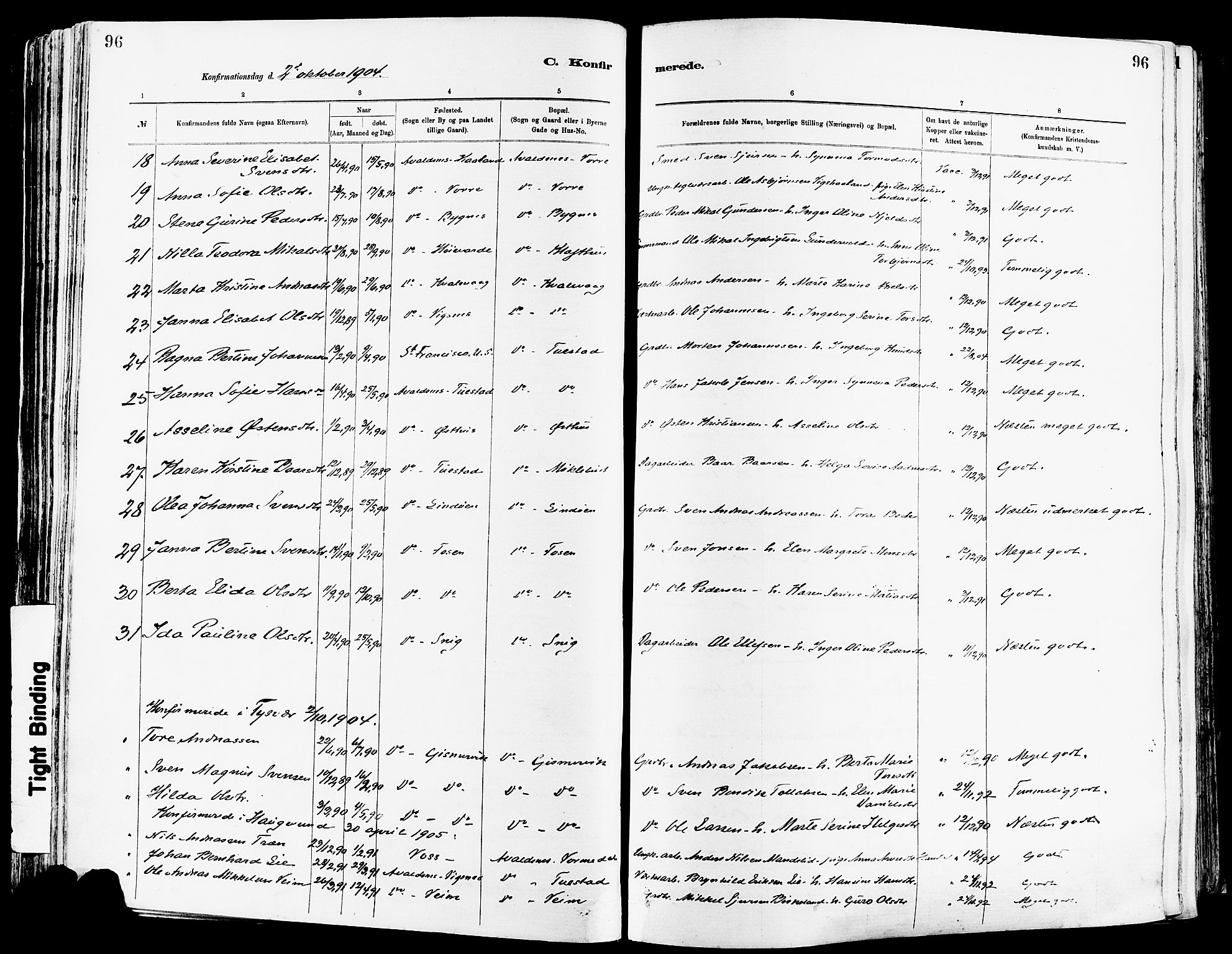 Avaldsnes sokneprestkontor, AV/SAST-A -101851/H/Ha/Haa/L0015: Parish register (official) no. A 15, 1880-1906, p. 96