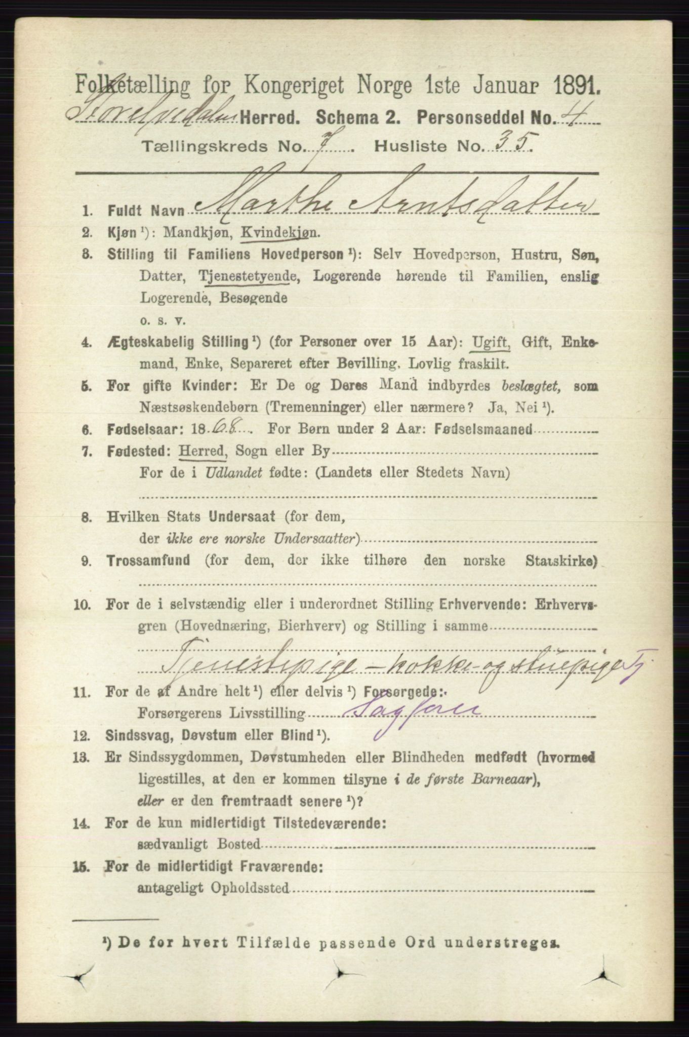 RA, 1891 census for 0430 Stor-Elvdal, 1891, p. 2933