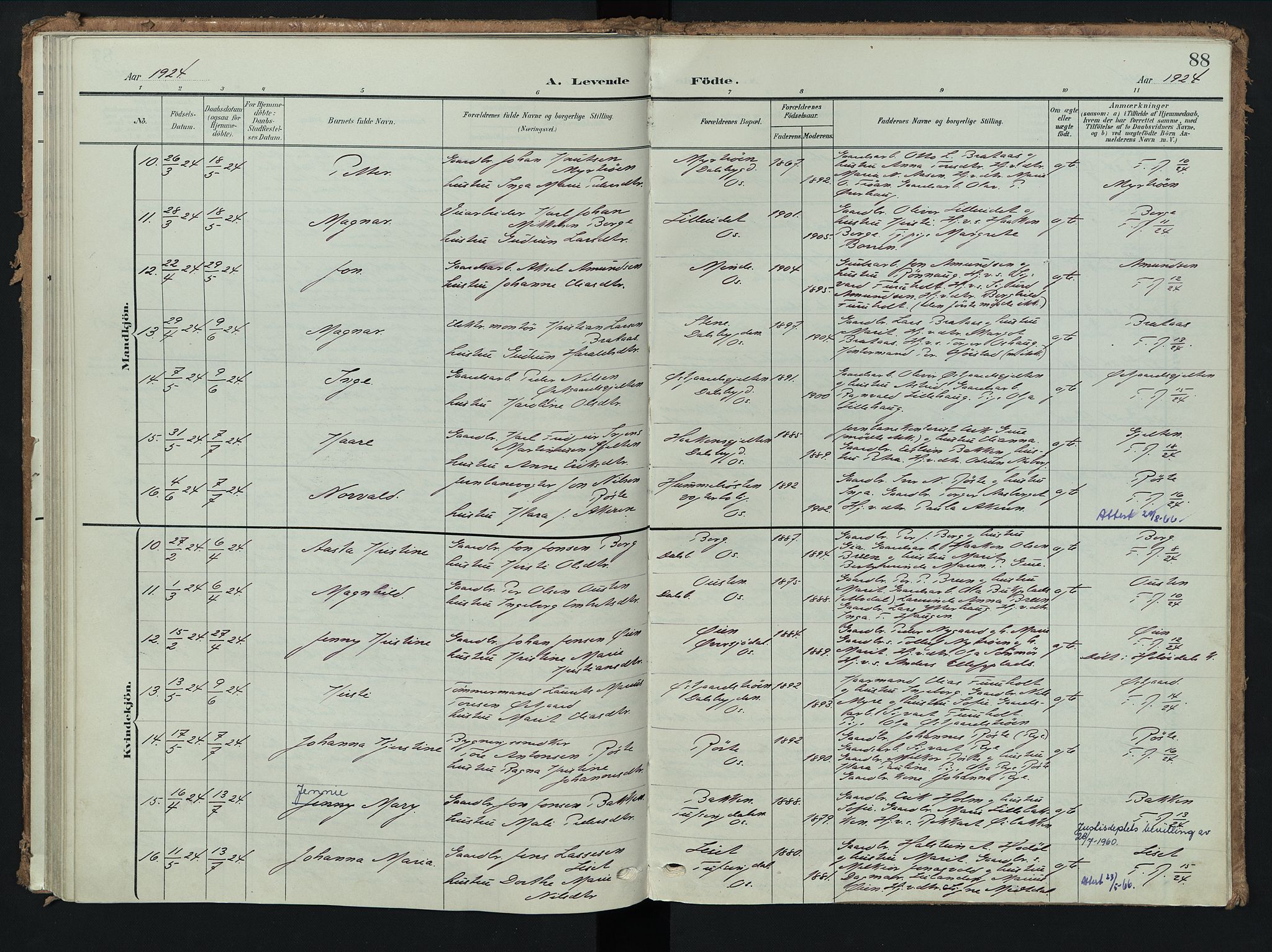 Tolga prestekontor, AV/SAH-PREST-062/K/L0009: Parish register (official) no. 9, 1903-1928, p. 88