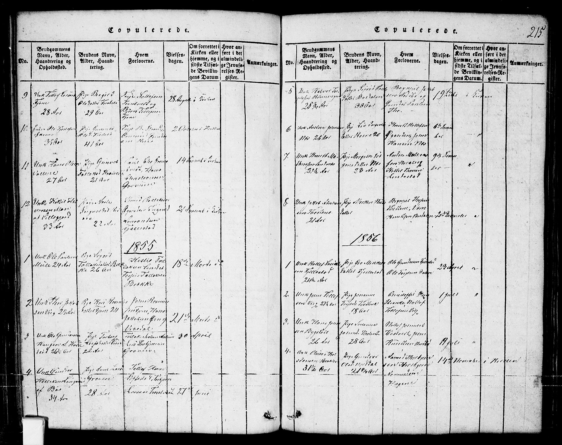 Nissedal kirkebøker, SAKO/A-288/G/Ga/L0001: Parish register (copy) no. I 1, 1814-1860, p. 215