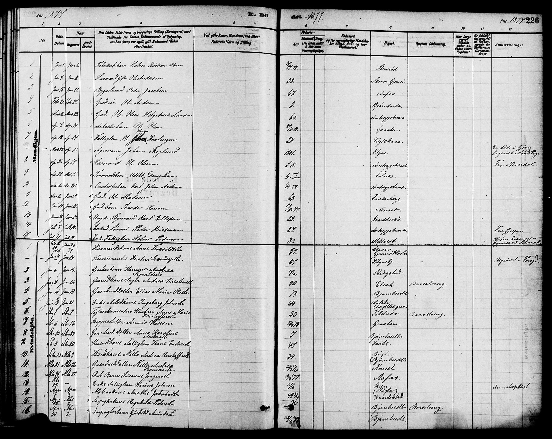 Solum kirkebøker, SAKO/A-306/F/Fa/L0009: Parish register (official) no. I 9, 1877-1887, p. 226