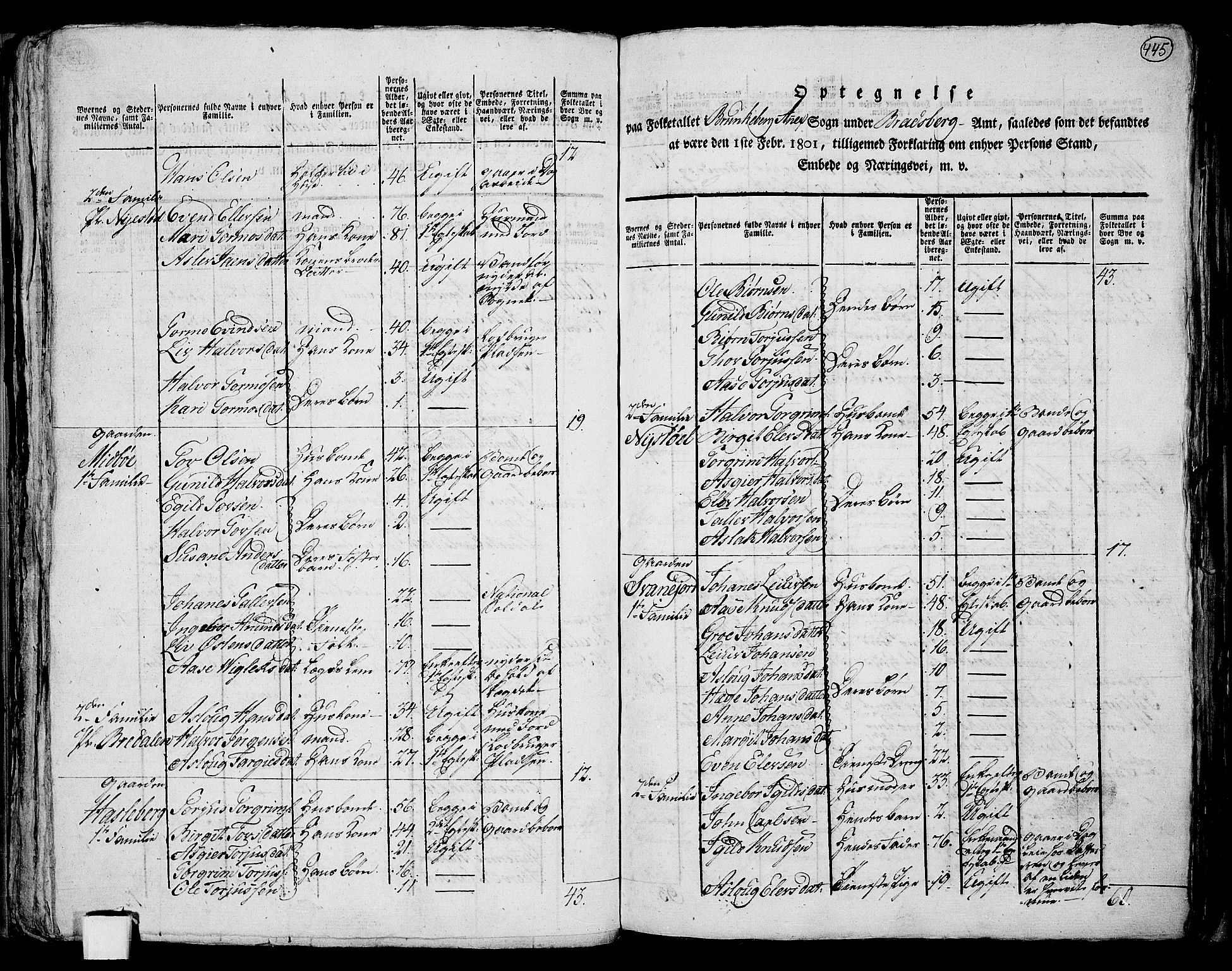 RA, 1801 census for 0829P Kviteseid, 1801, p. 444b-445a