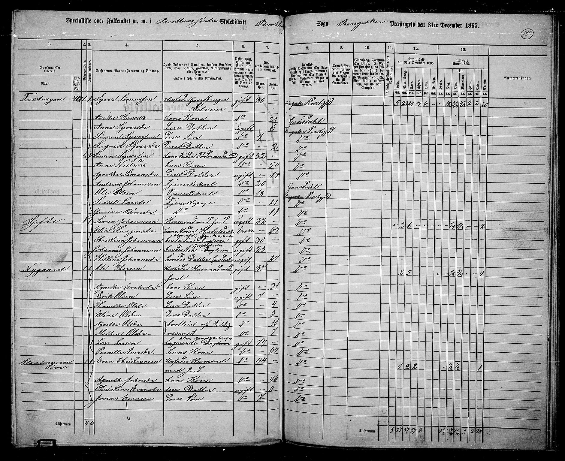 RA, 1865 census for Ringsaker, 1865, p. 422