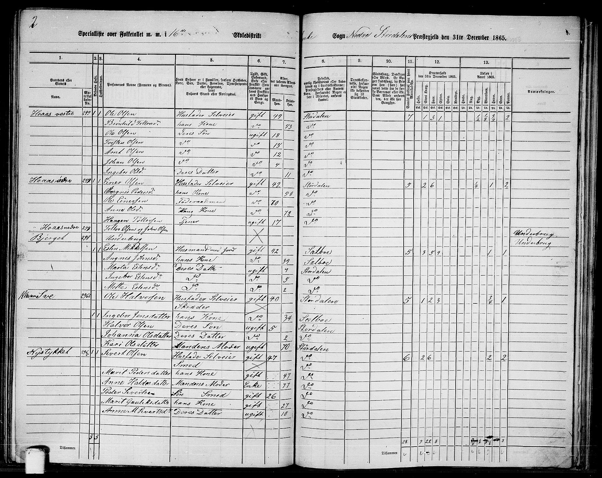 RA, 1865 census for Nedre Stjørdal, 1865, p. 266