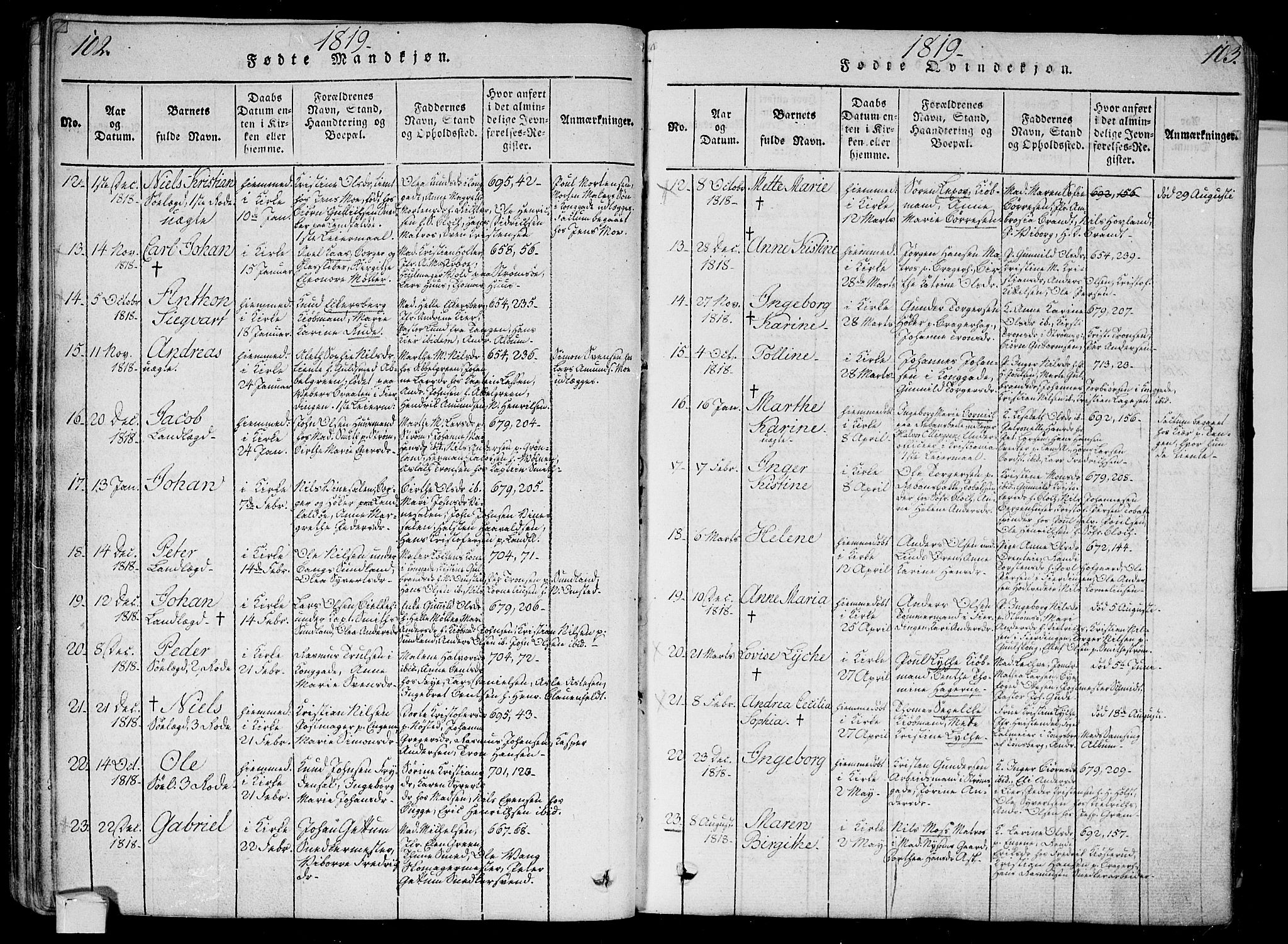 Bragernes kirkebøker, AV/SAKO-A-6/G/Ga/L0001: Parish register (copy) no. 1, 1815-1829, p. 102-103