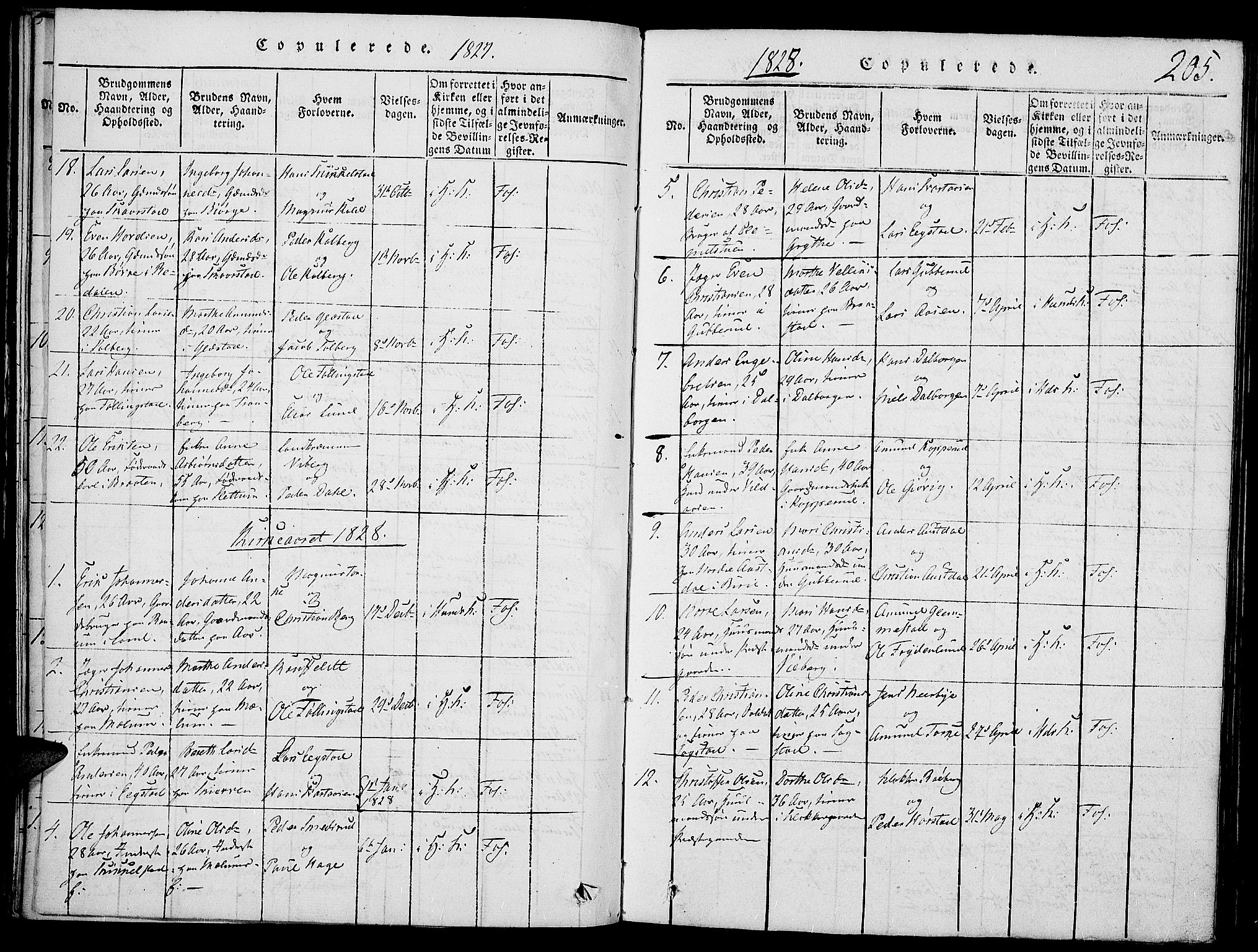 Vardal prestekontor, SAH/PREST-100/H/Ha/Haa/L0004: Parish register (official) no. 4, 1814-1831, p. 205