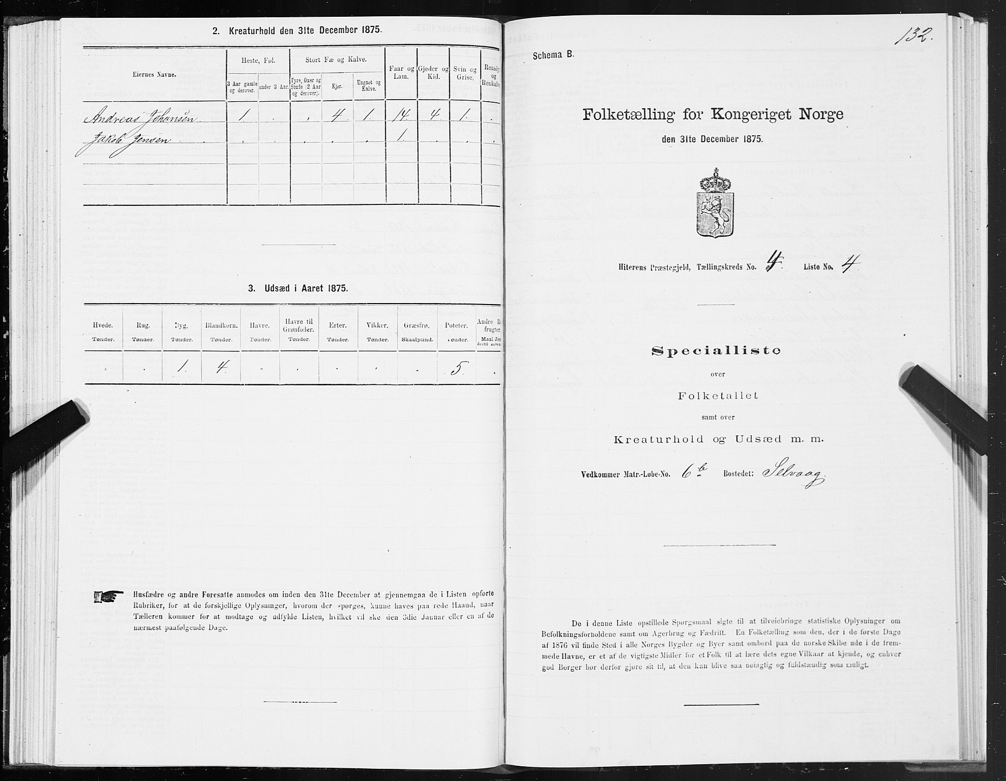 SAT, 1875 census for 1617P Hitra, 1875, p. 2132