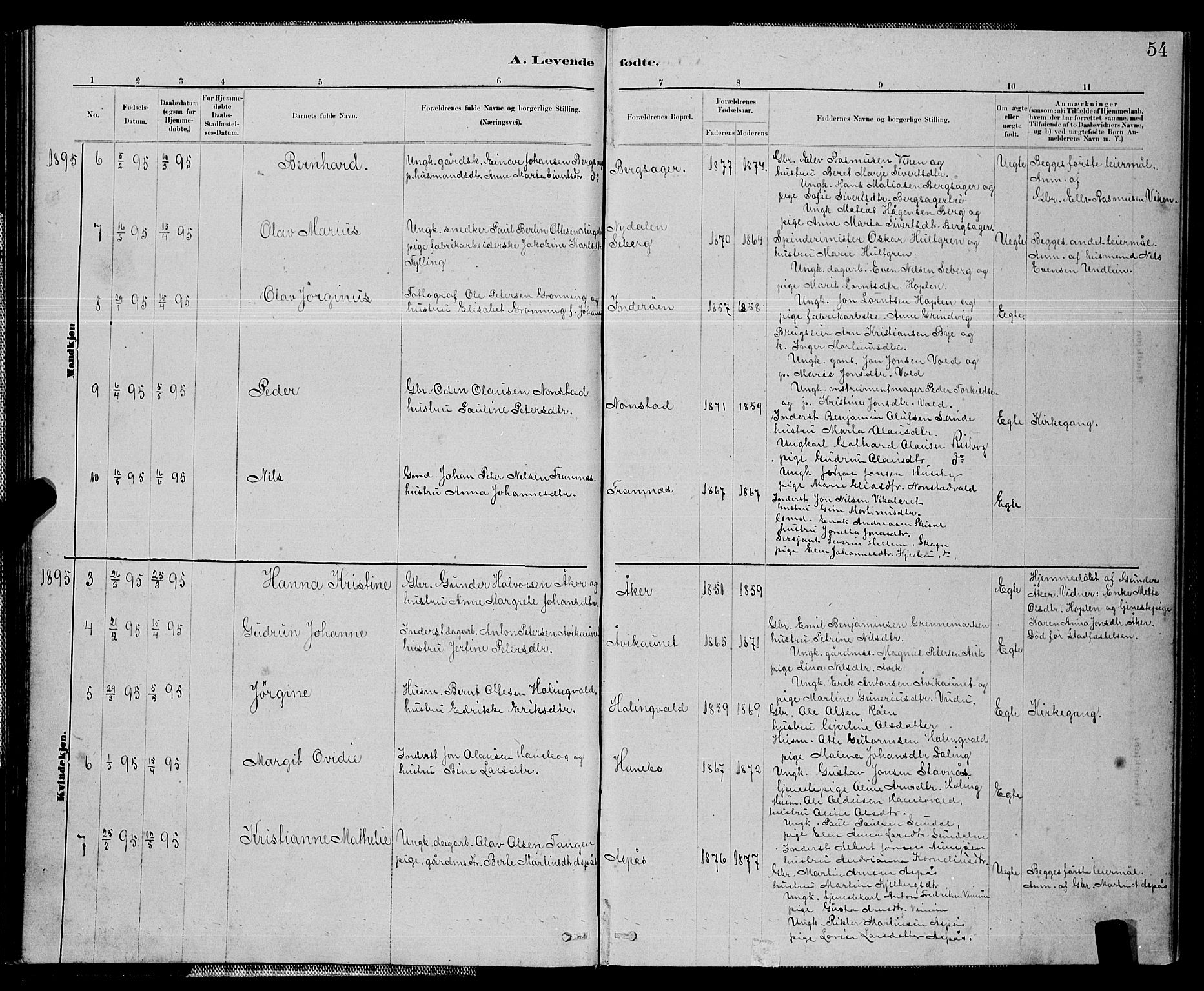 Ministerialprotokoller, klokkerbøker og fødselsregistre - Nord-Trøndelag, SAT/A-1458/714/L0134: Parish register (copy) no. 714C03, 1878-1898, p. 54
